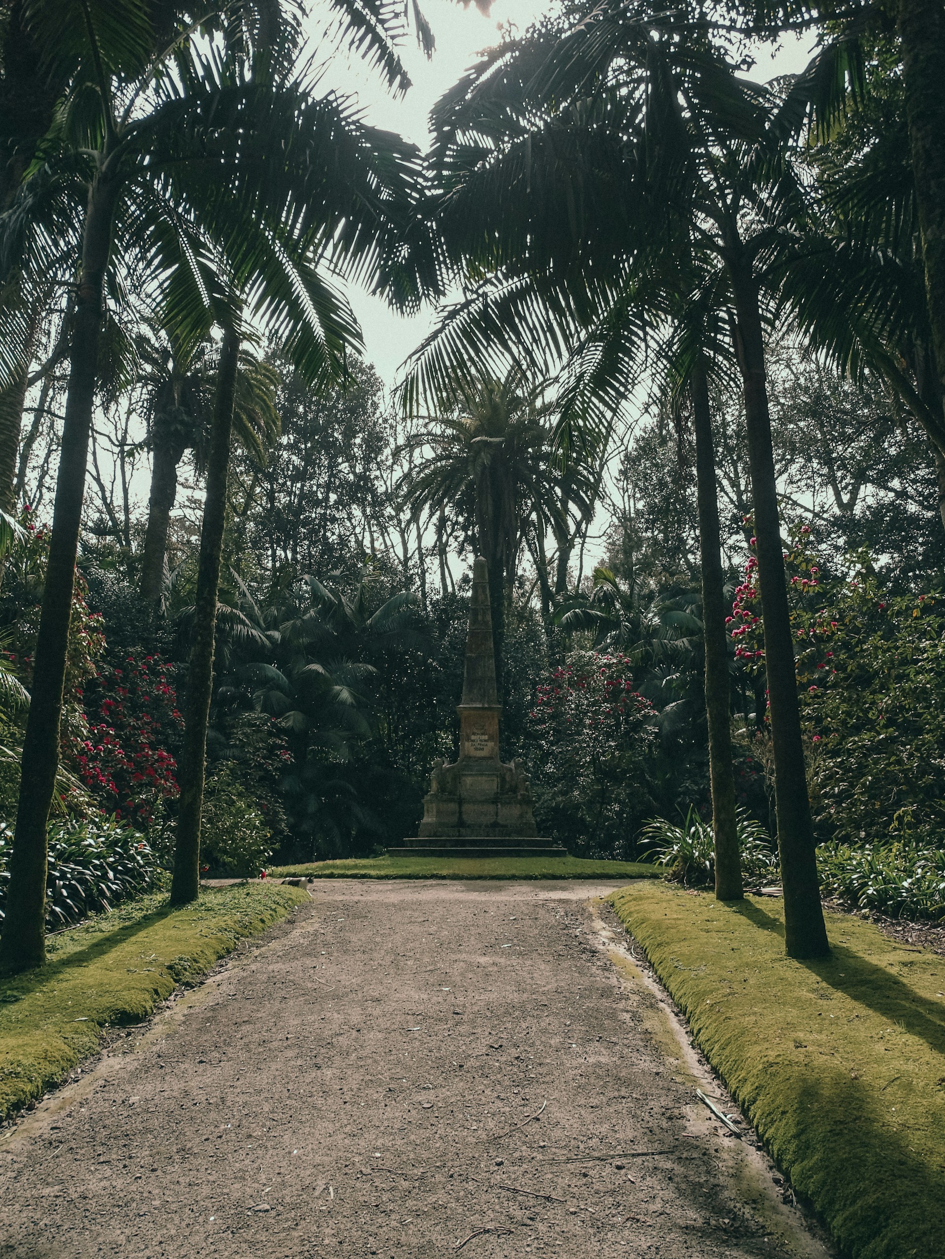 Peaceful garden path at our Royal Palm Beach location, inviting a calm stroll in a safe, serene environment.