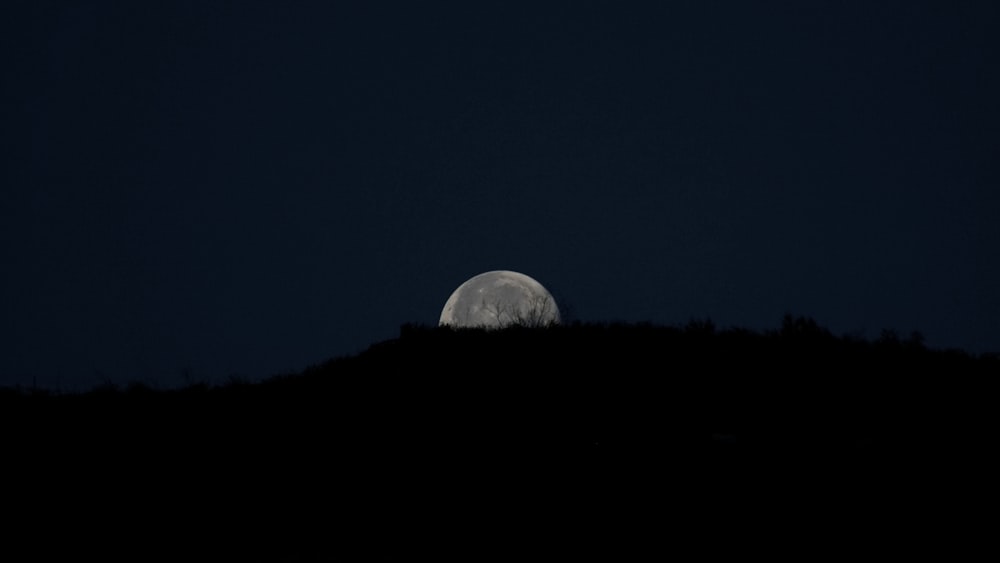 a full moon rising over a hill with trees