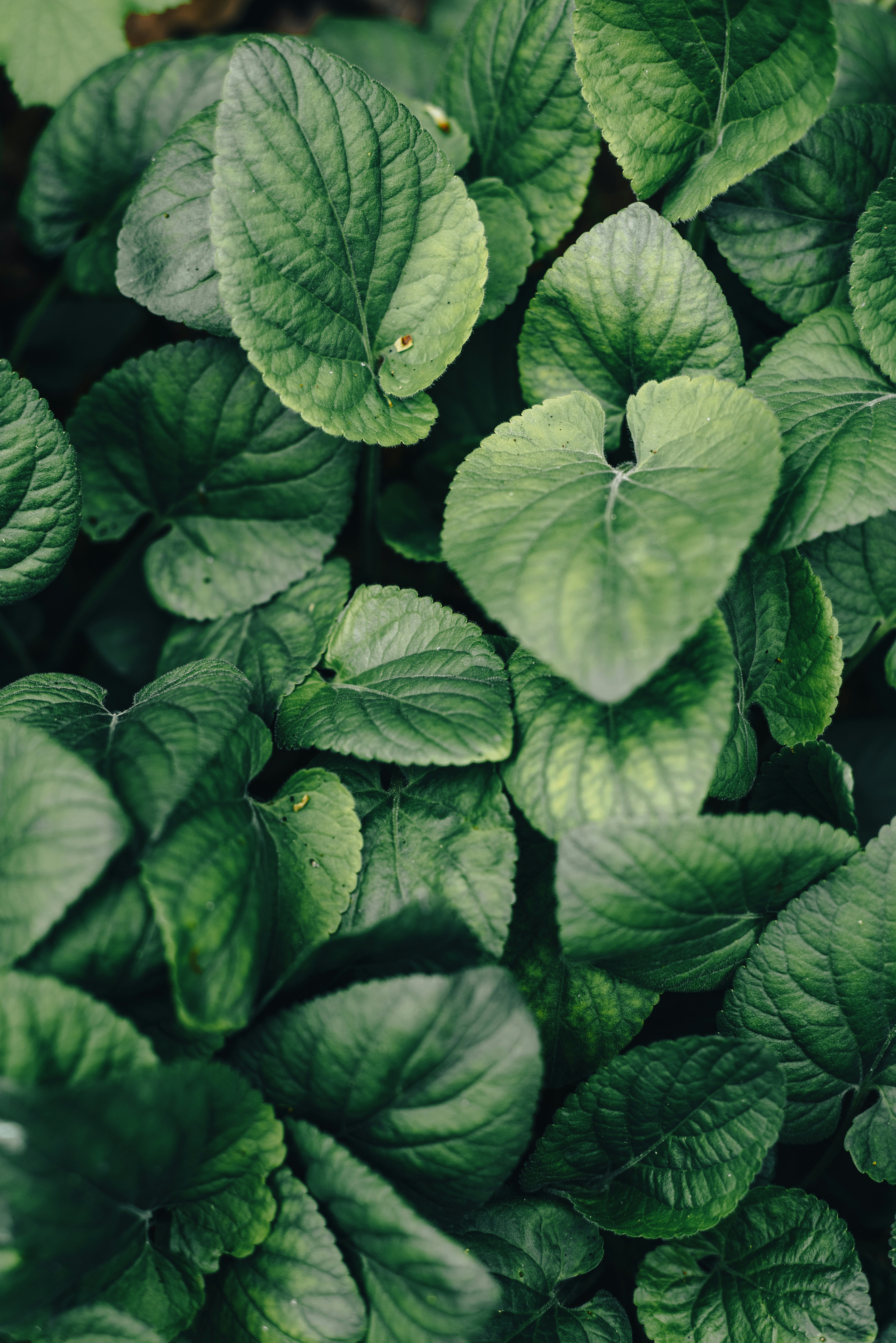 Photo by eugenivy_now