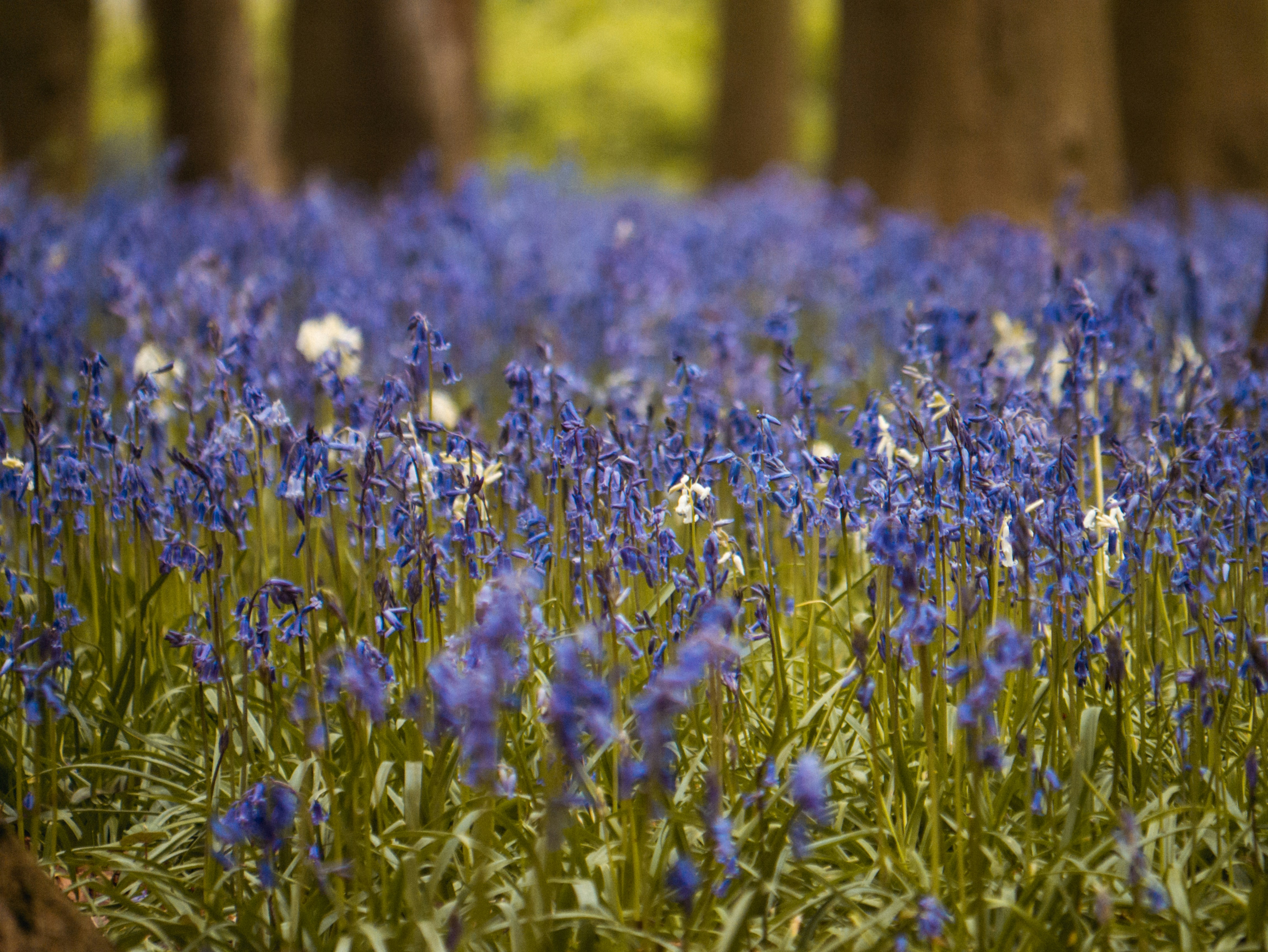 Photo by mattseymour