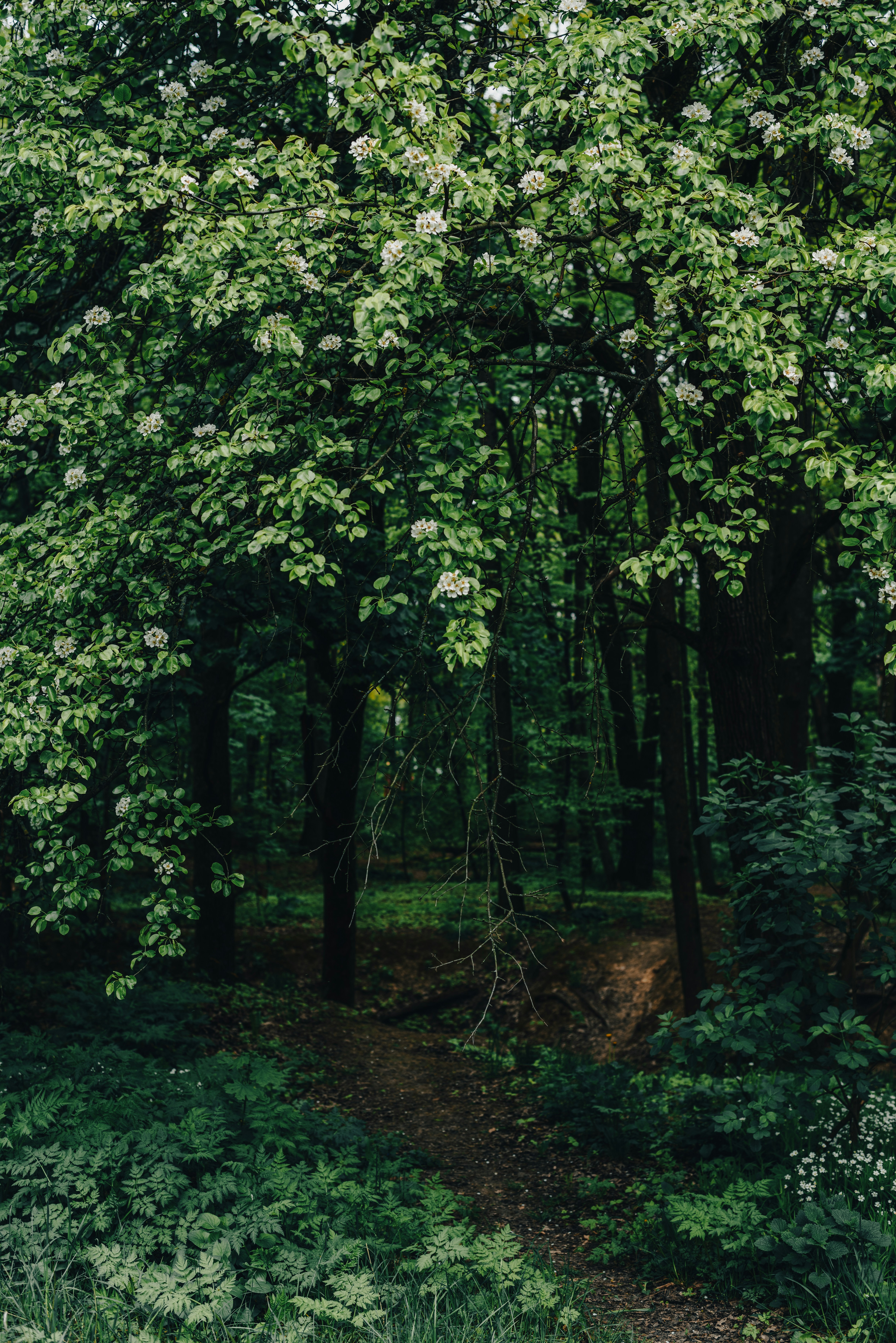 Photo by eugenivy_now