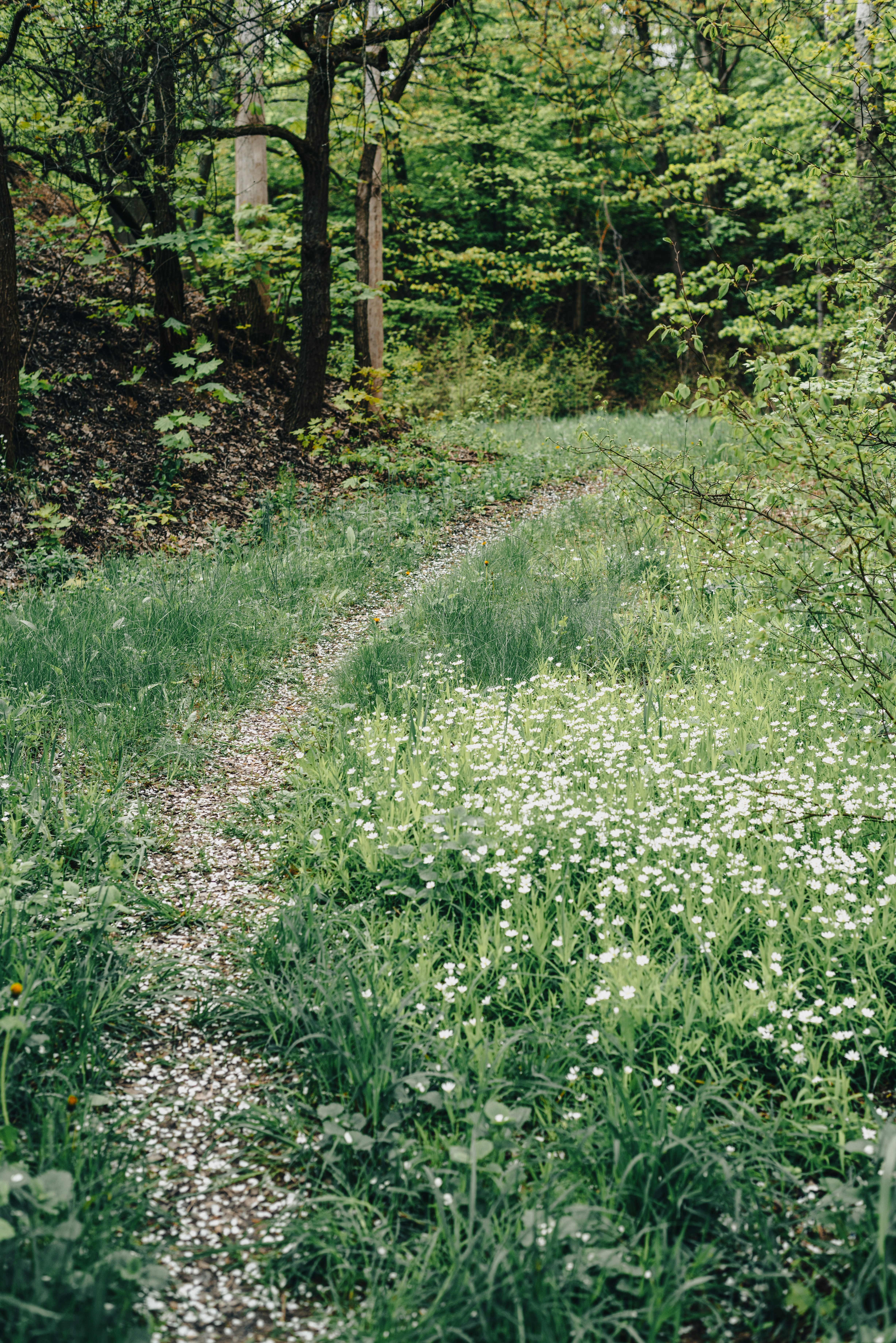 Photo by eugenivy_now