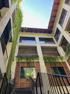 Urban courtyard with greenery framed by sleek architectural structures