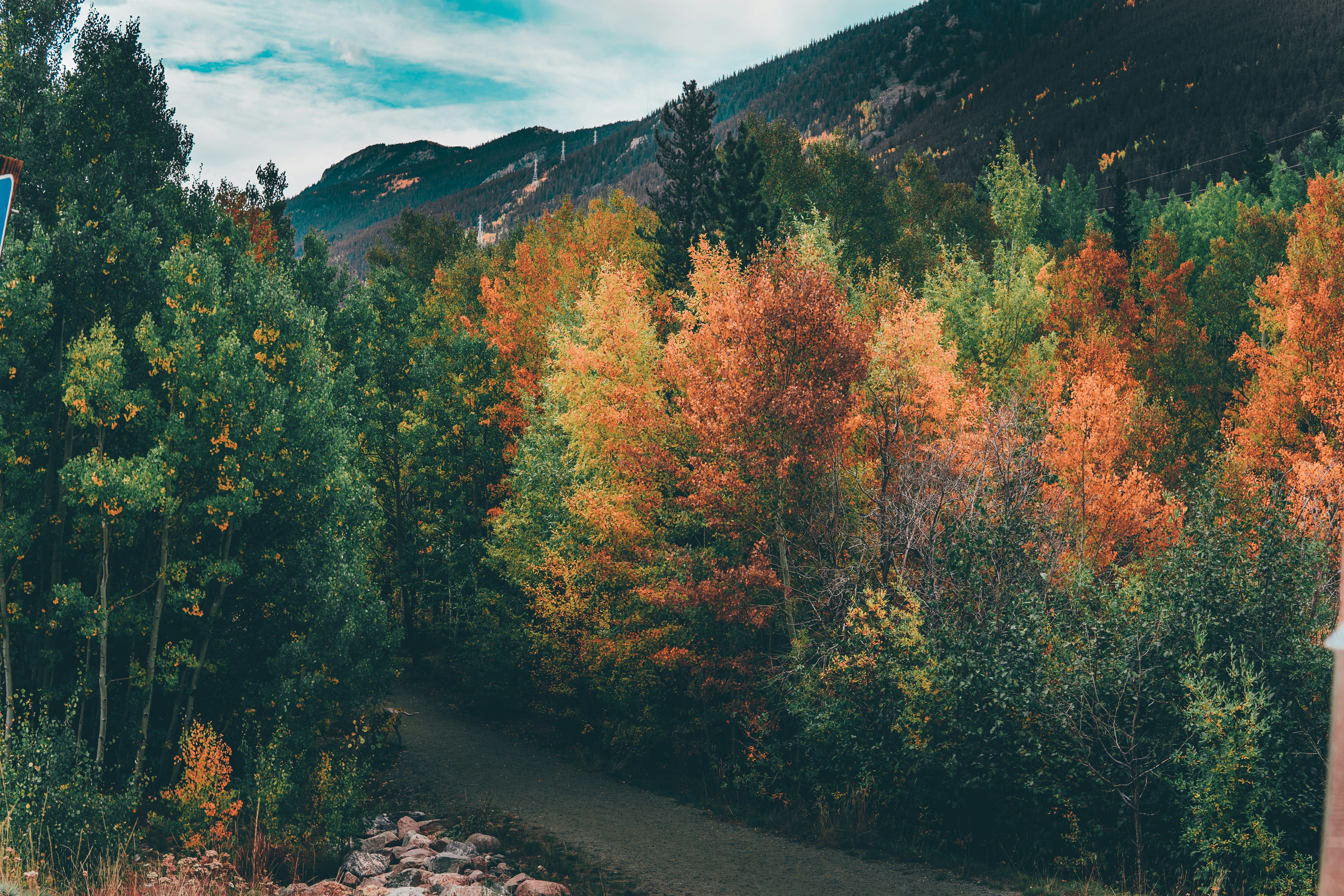 Photo by tomatopictures1