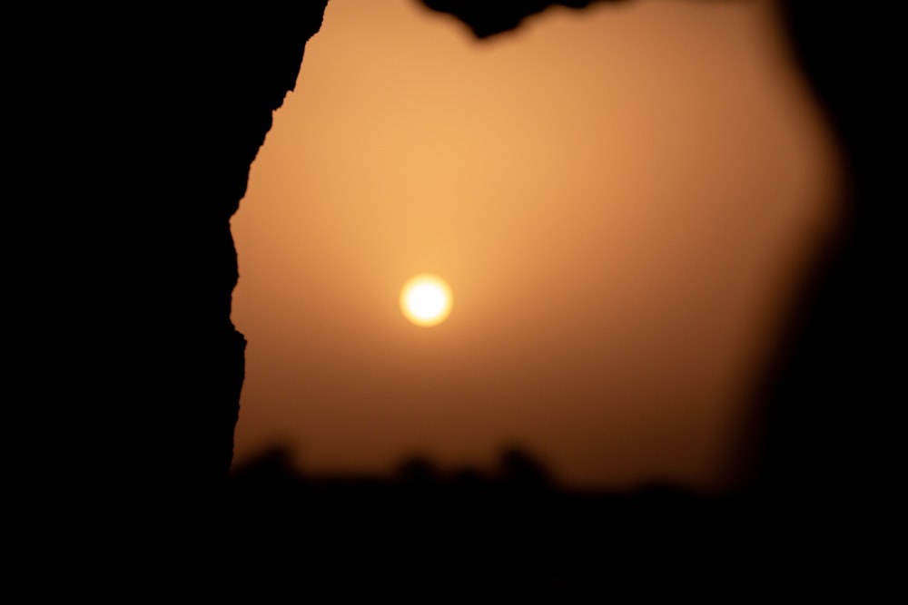 a silhouette of a giraffe with the sun in the background