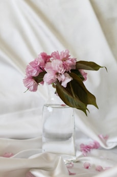 A glass vase filled with water holds a bouquet of delicate pink cherry blossoms, accented by dark green leaves. The vase is placed on a smooth, white fabric that drapes softly around it. Scattered pink petals surround the base, adding to the serene composition.