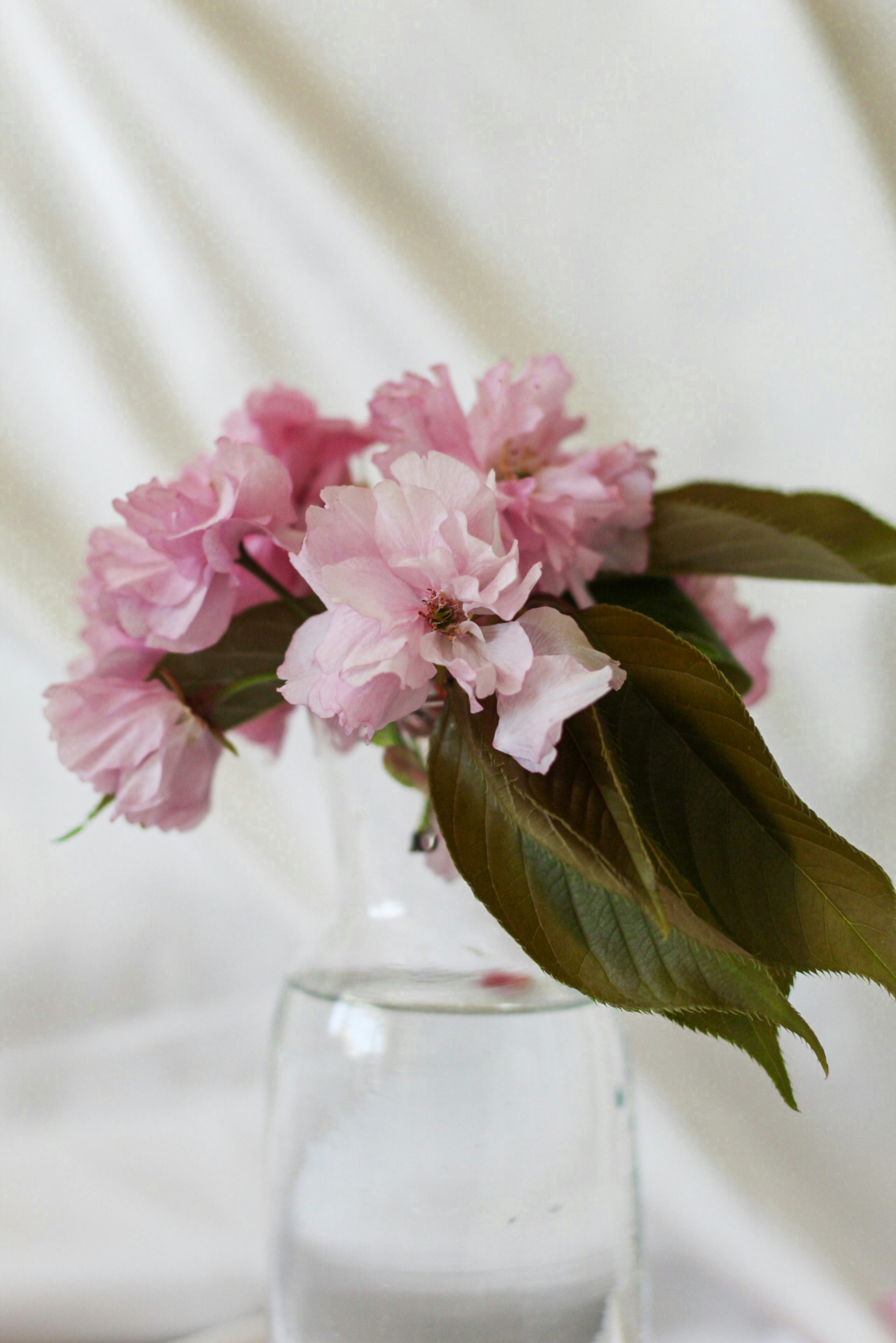 Photo by esrakorkmaz