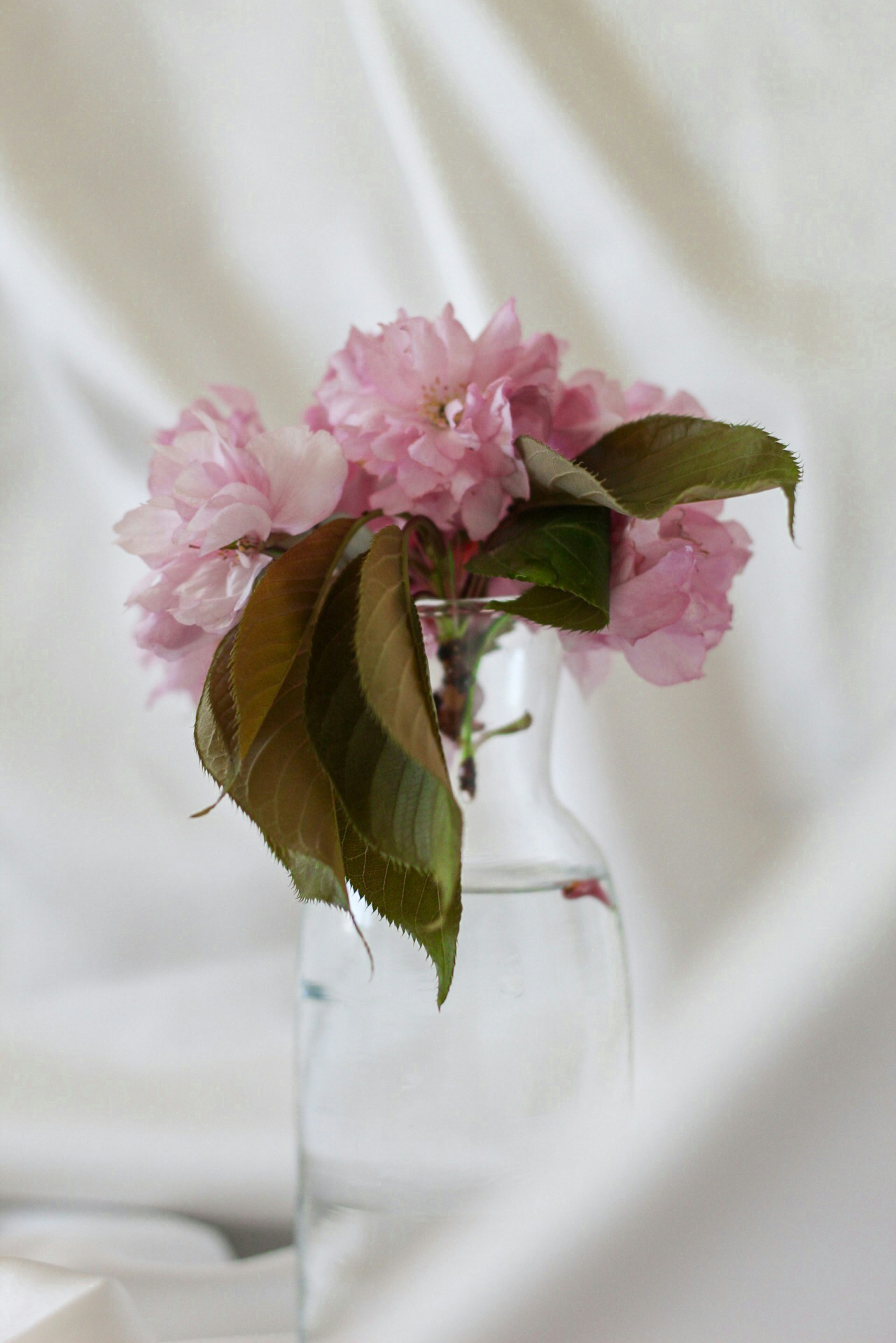 Photo by esrakorkmaz