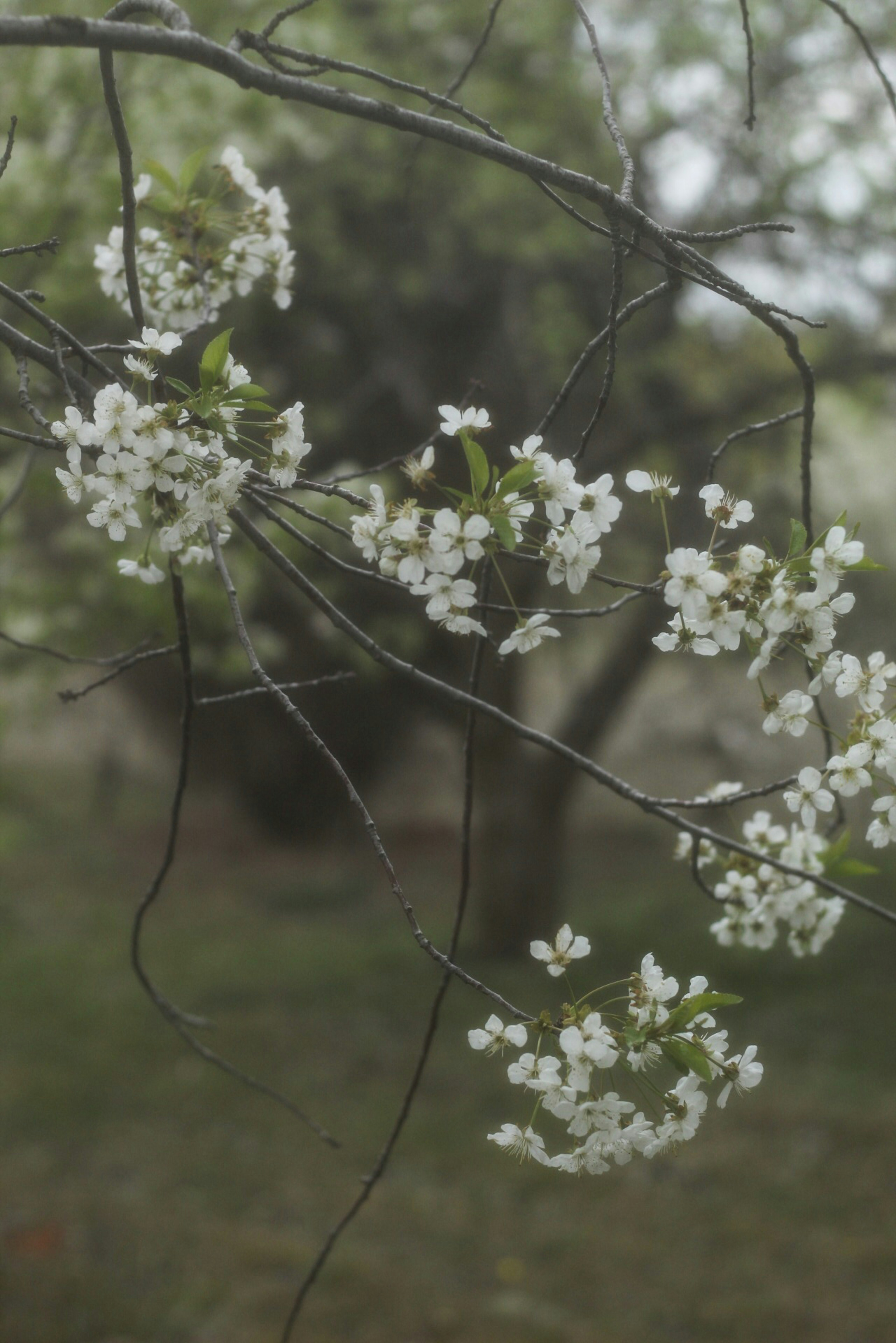 Photo by esrakorkmaz