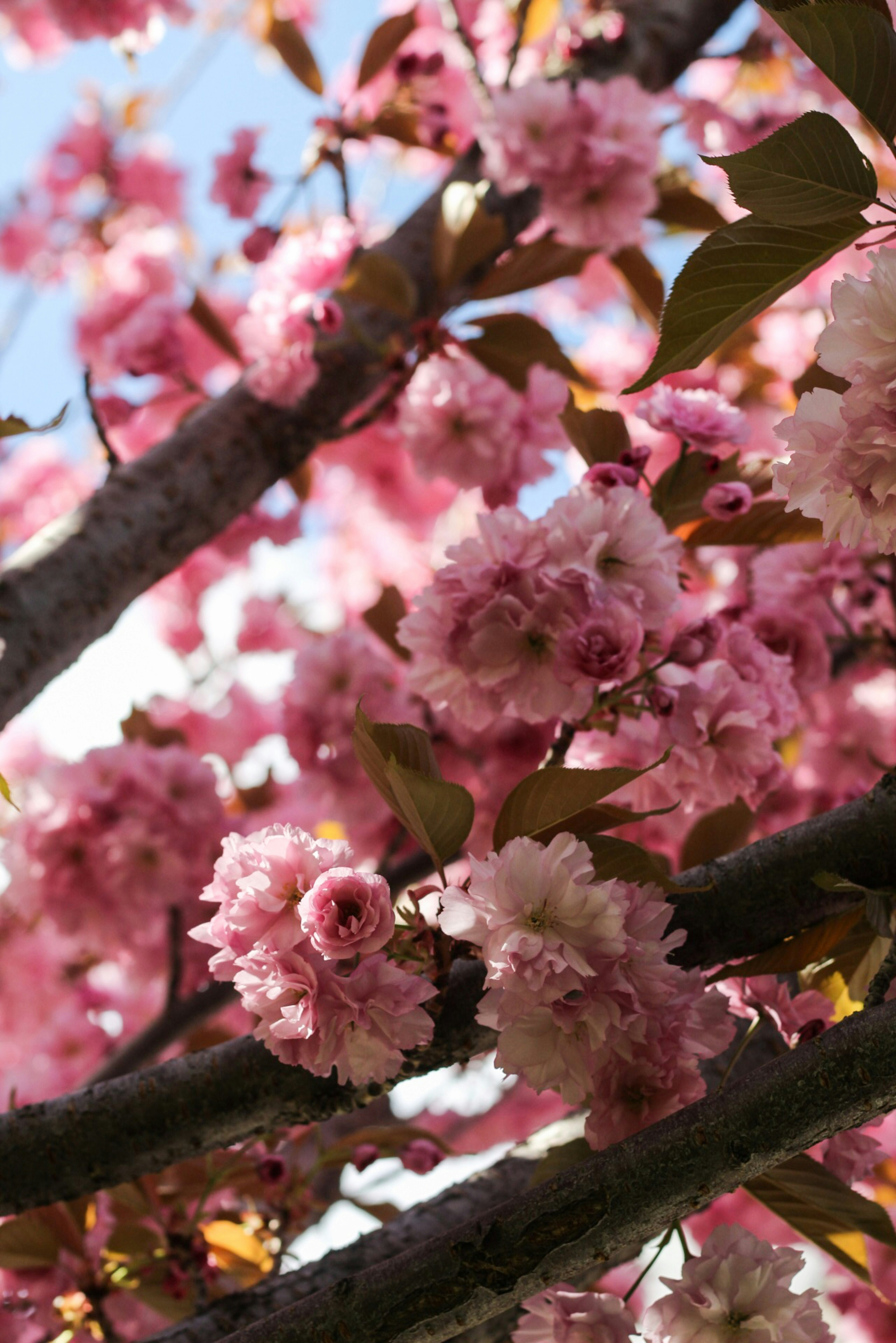 Photo by esrakorkmaz