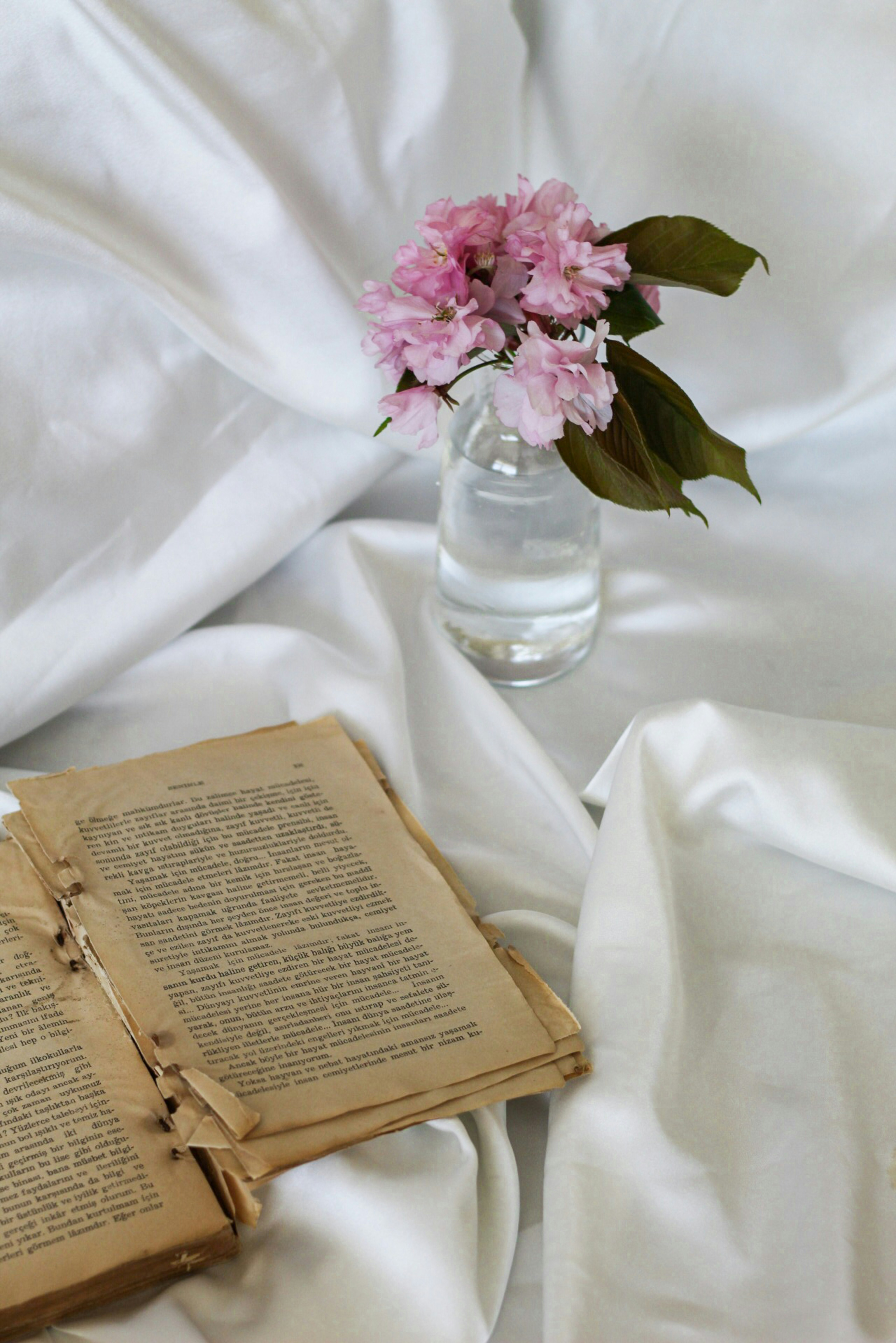 Photo by esrakorkmaz