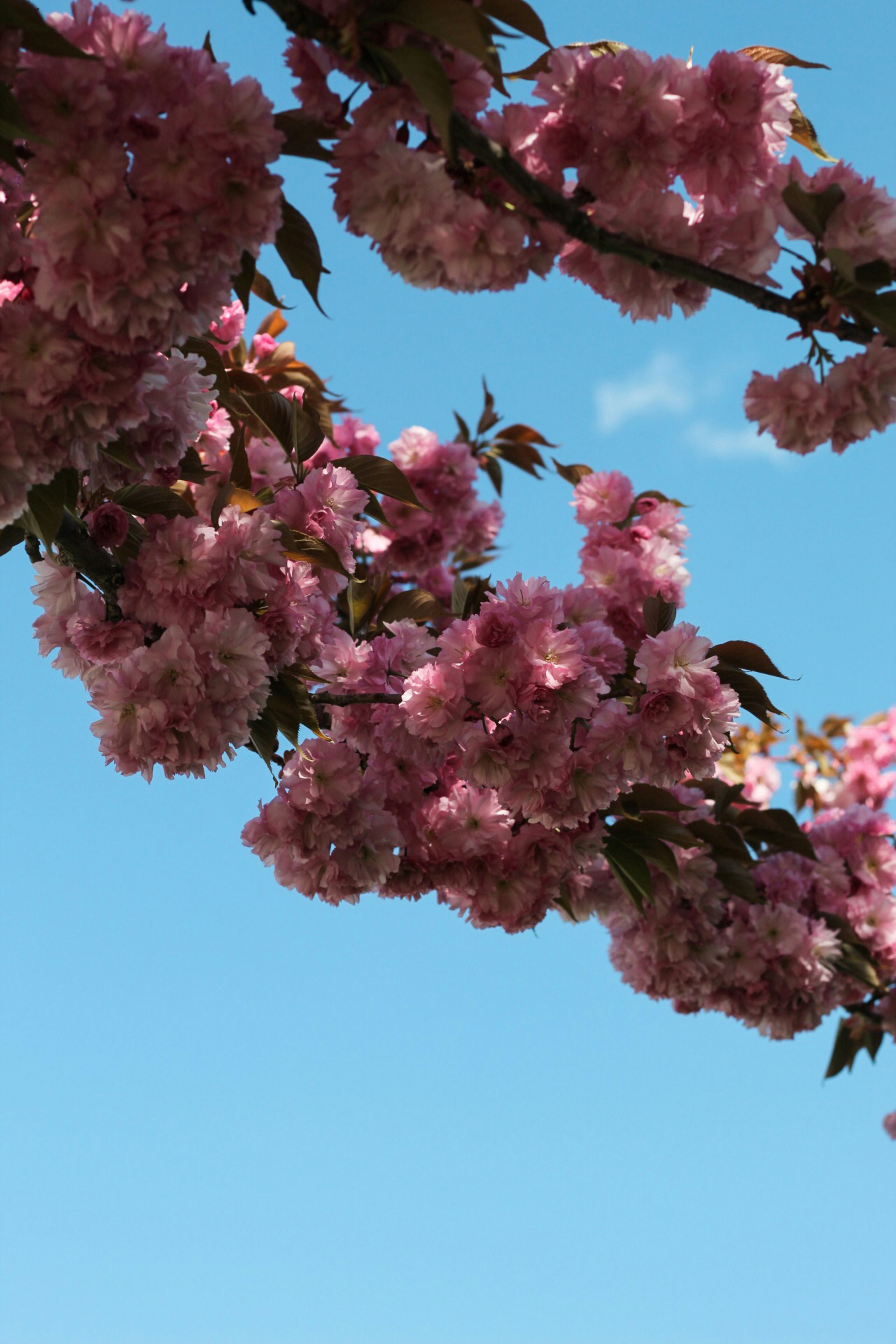 Photo by esrakorkmaz