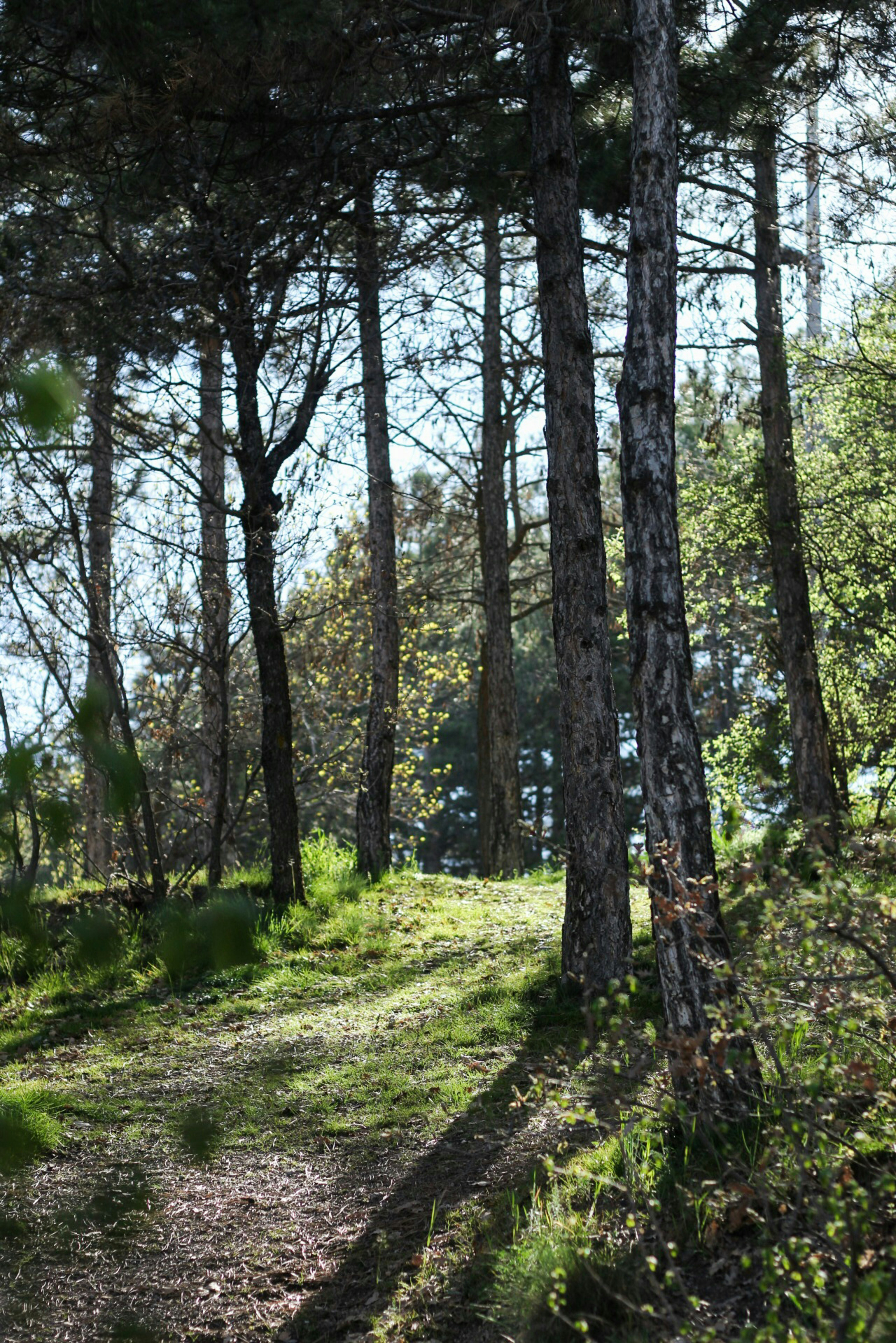 Photo by esrakorkmaz