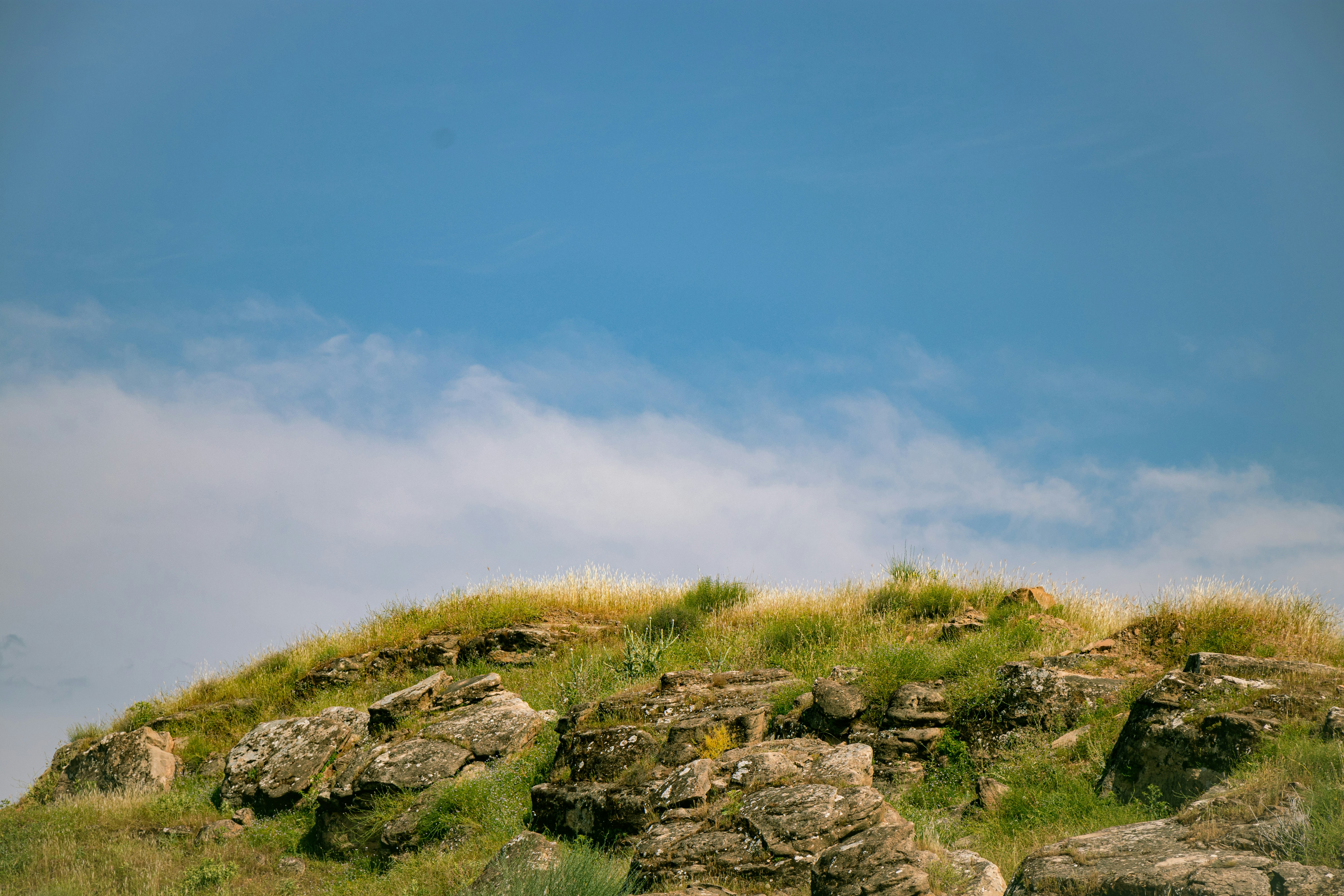 Photo by arashasghari