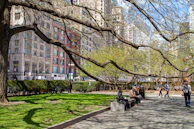 A serene outdoor space with people enjoying nature and architecture.