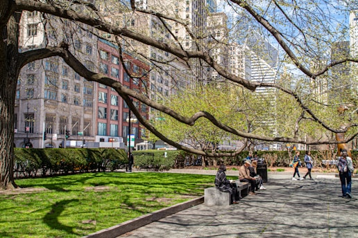 A serene park with people engaging in outdoor activities, symbolizing a brain healthy city.