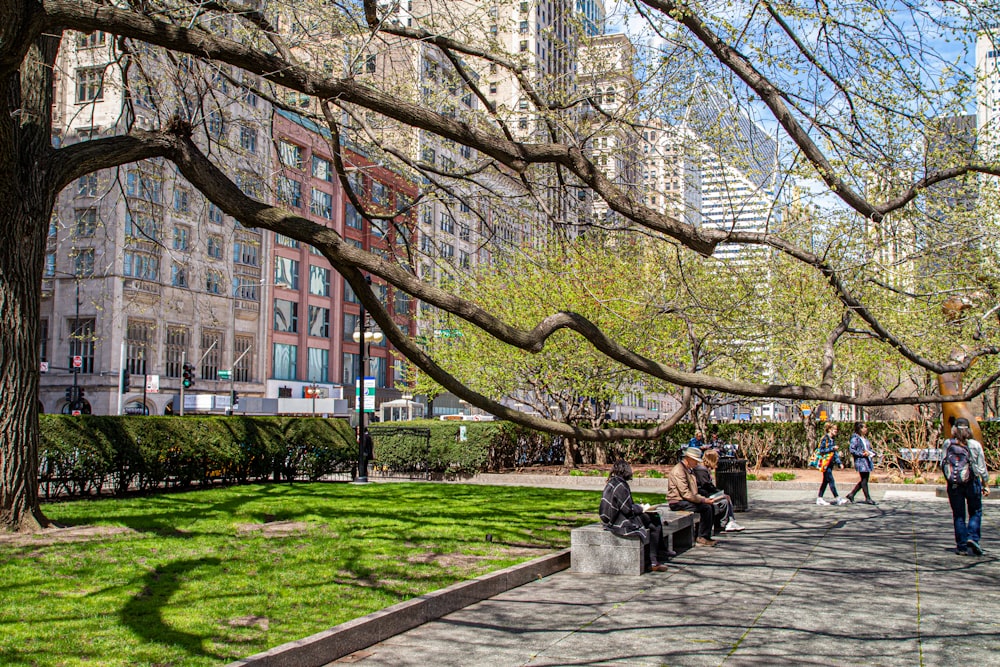 a group of people sitting on a bench in a park