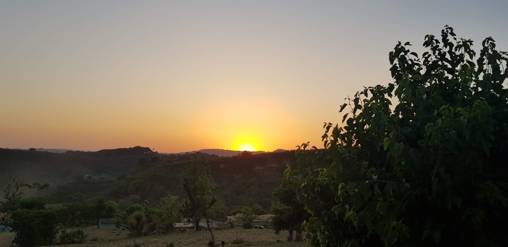 the sun is setting over a field with trees