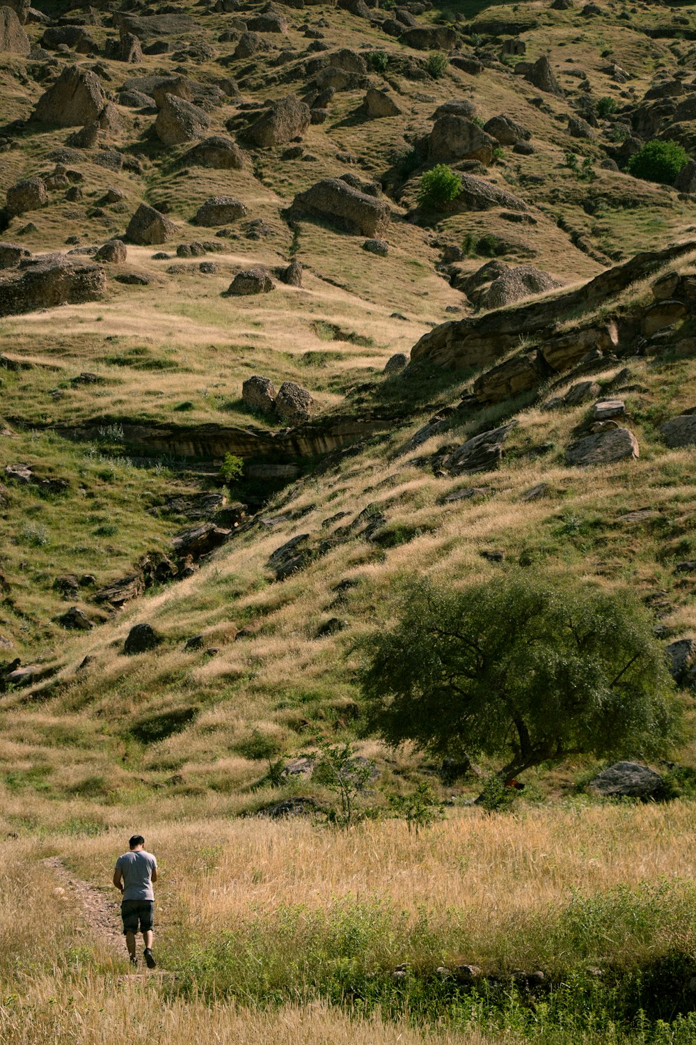 a man is walking through a grassy field