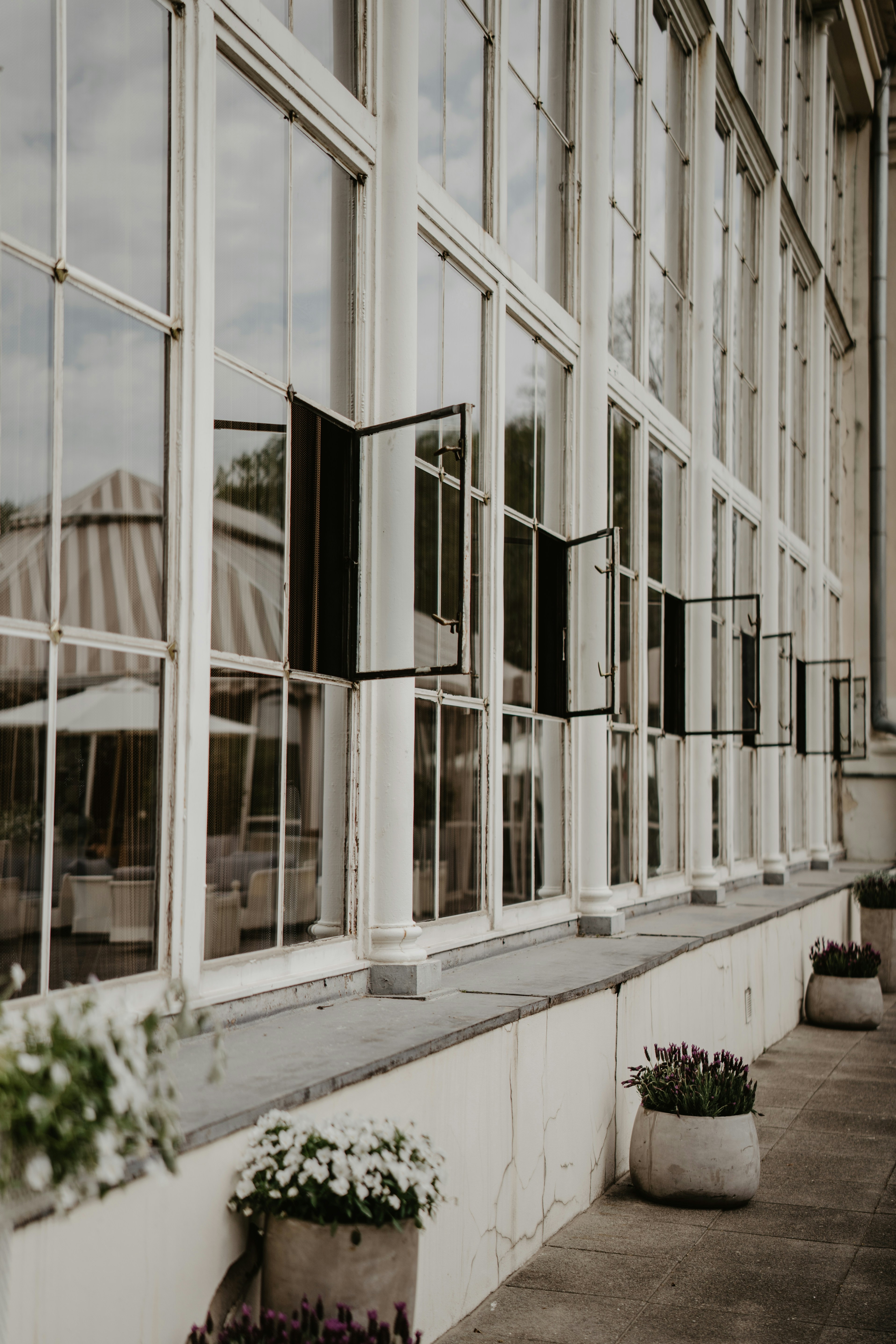 Photo by magdalesnik