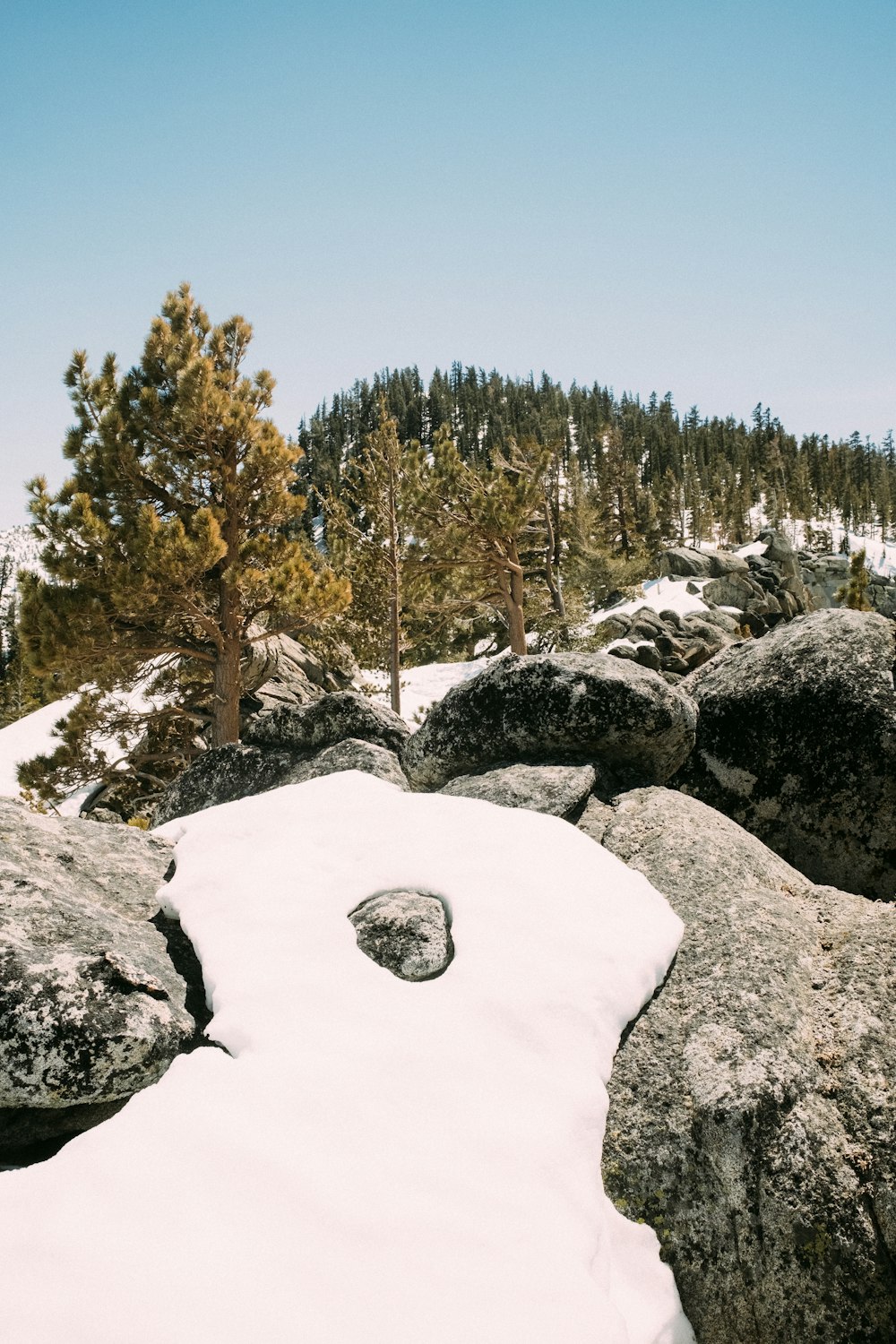 a snow covered mountain with rocks and trees in the background