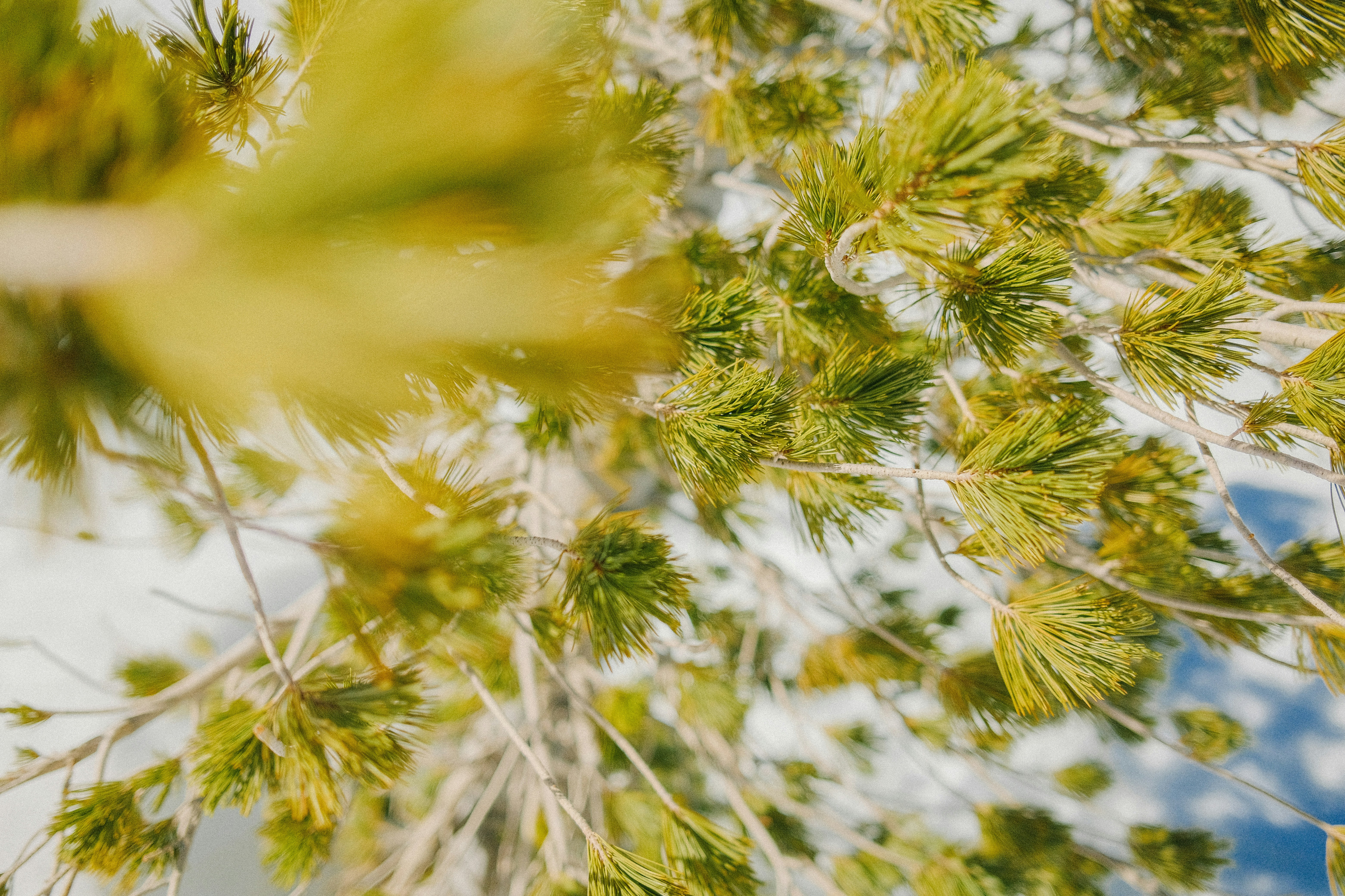 Photo by nathanguzman