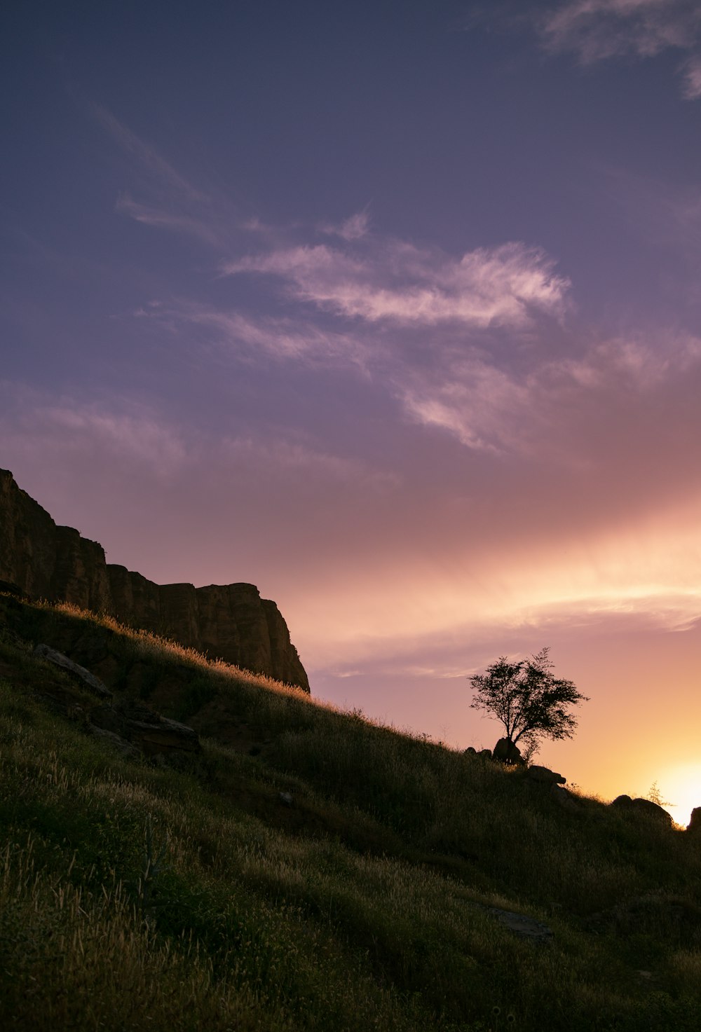 a lone tree on a grassy hill at sunset