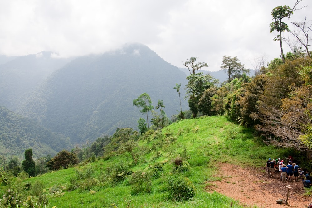 a group of people hiking up a hill