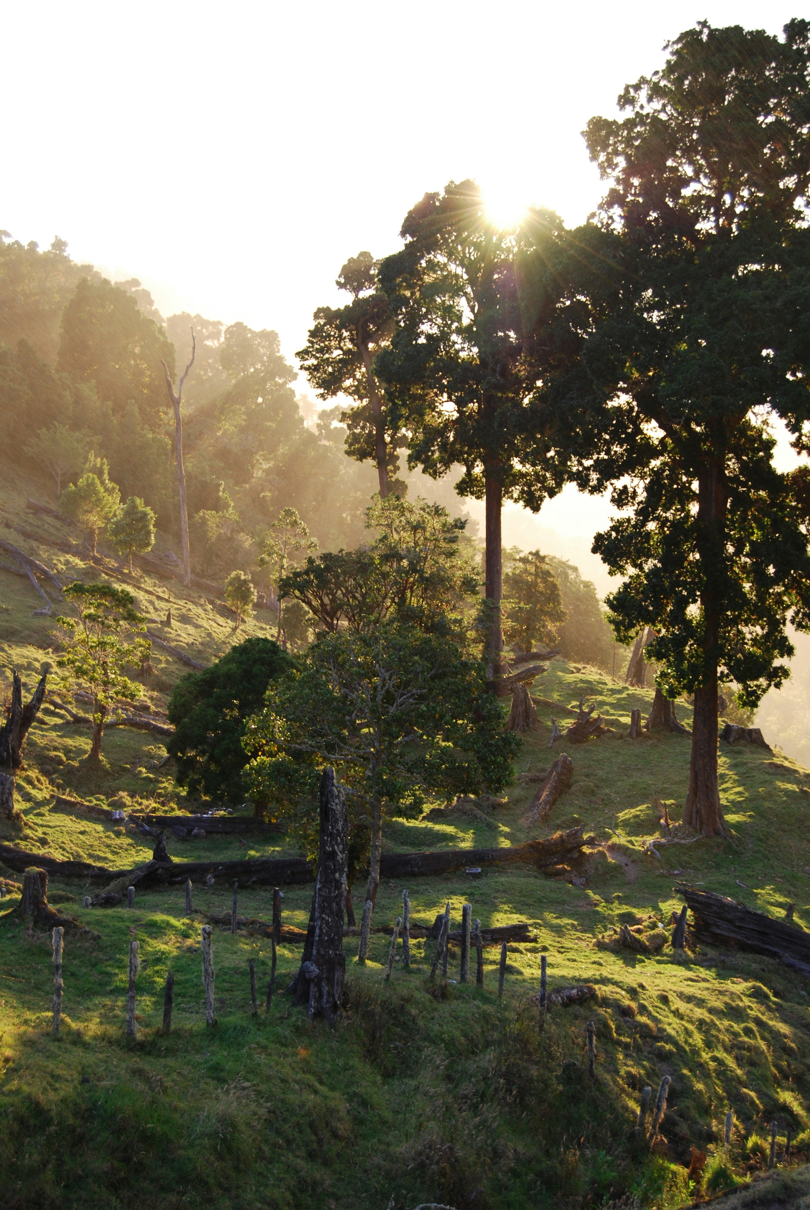 In-Game Biomes as Living Ecosystems: Uncovering Sustainable Narratives
