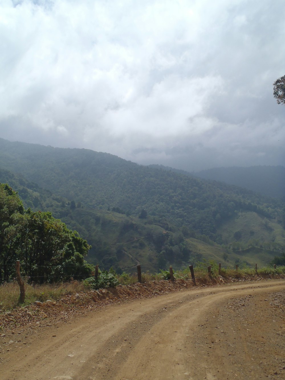 a dirt road in the middle of a lush green valley