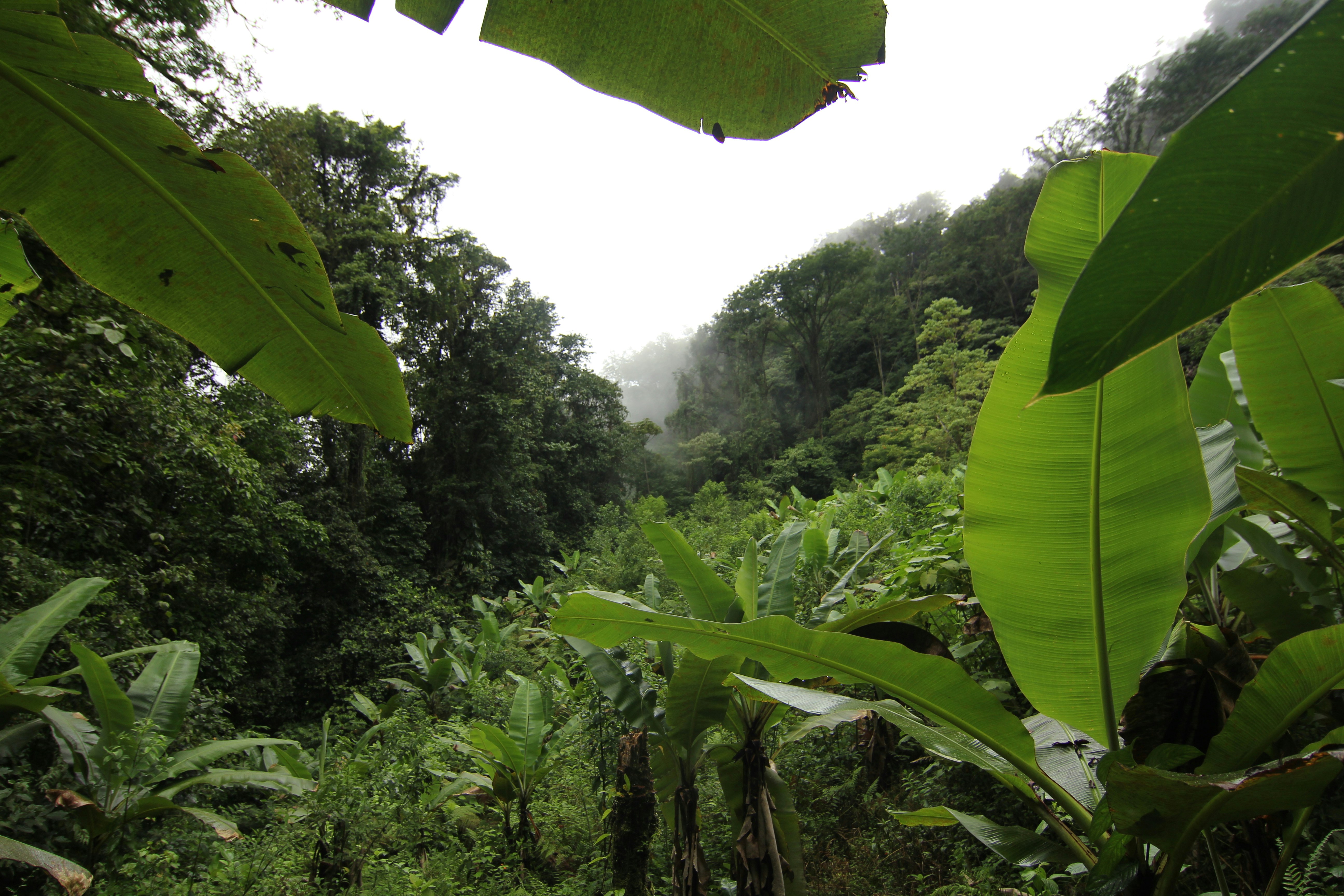 Photo by outwardboundcr