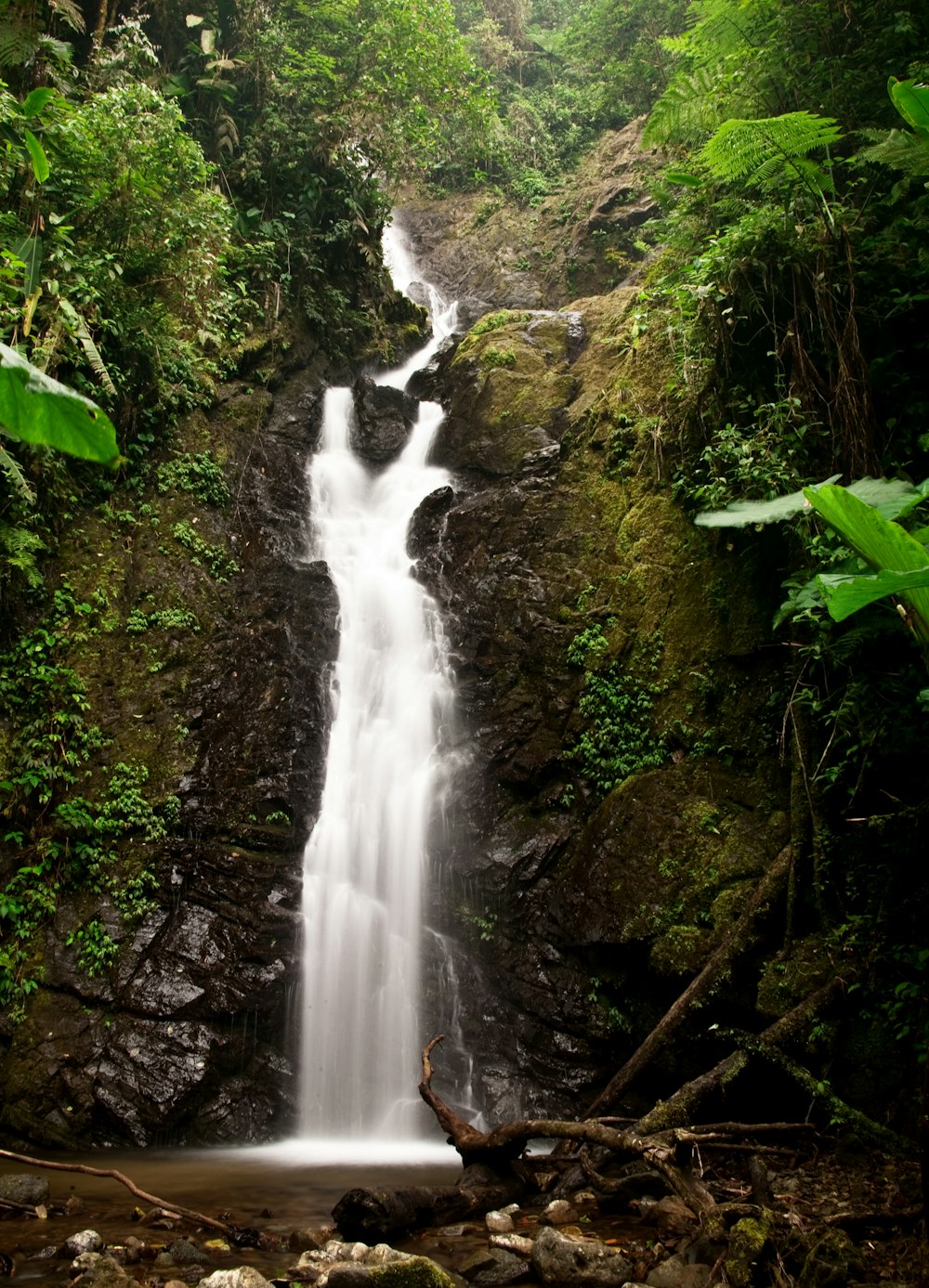 a small waterfall in the middle of a jungle