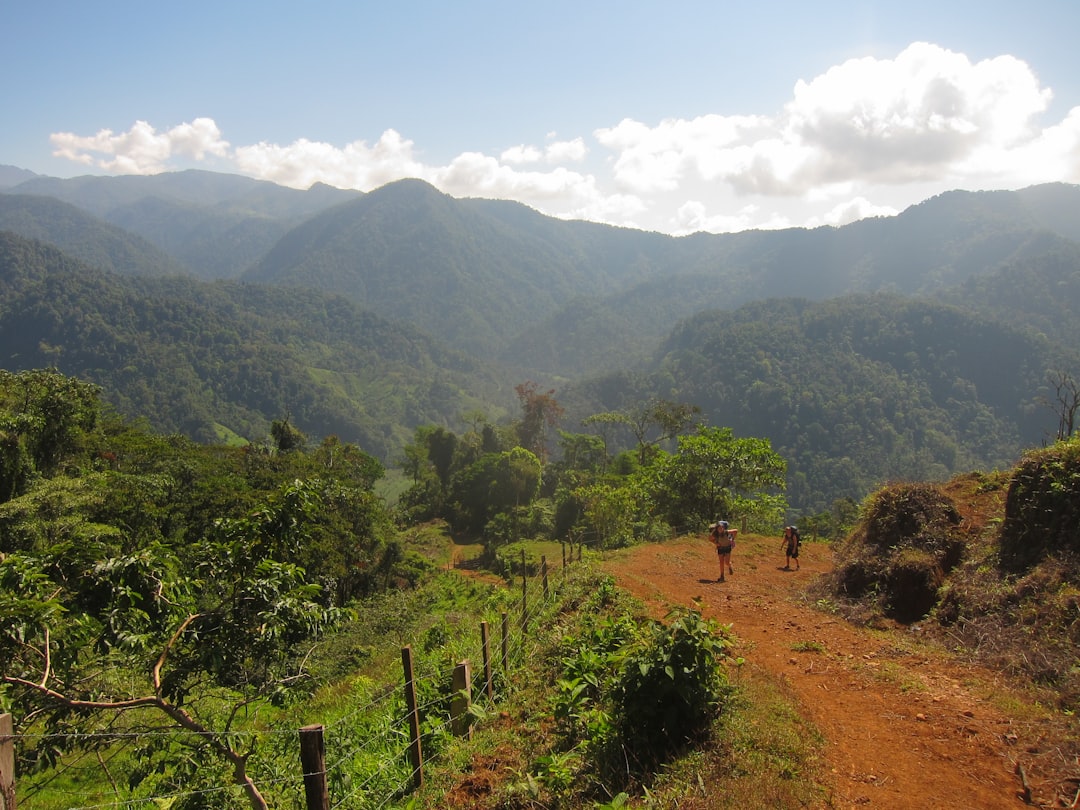 a person walking down a dirt road in the mountains,