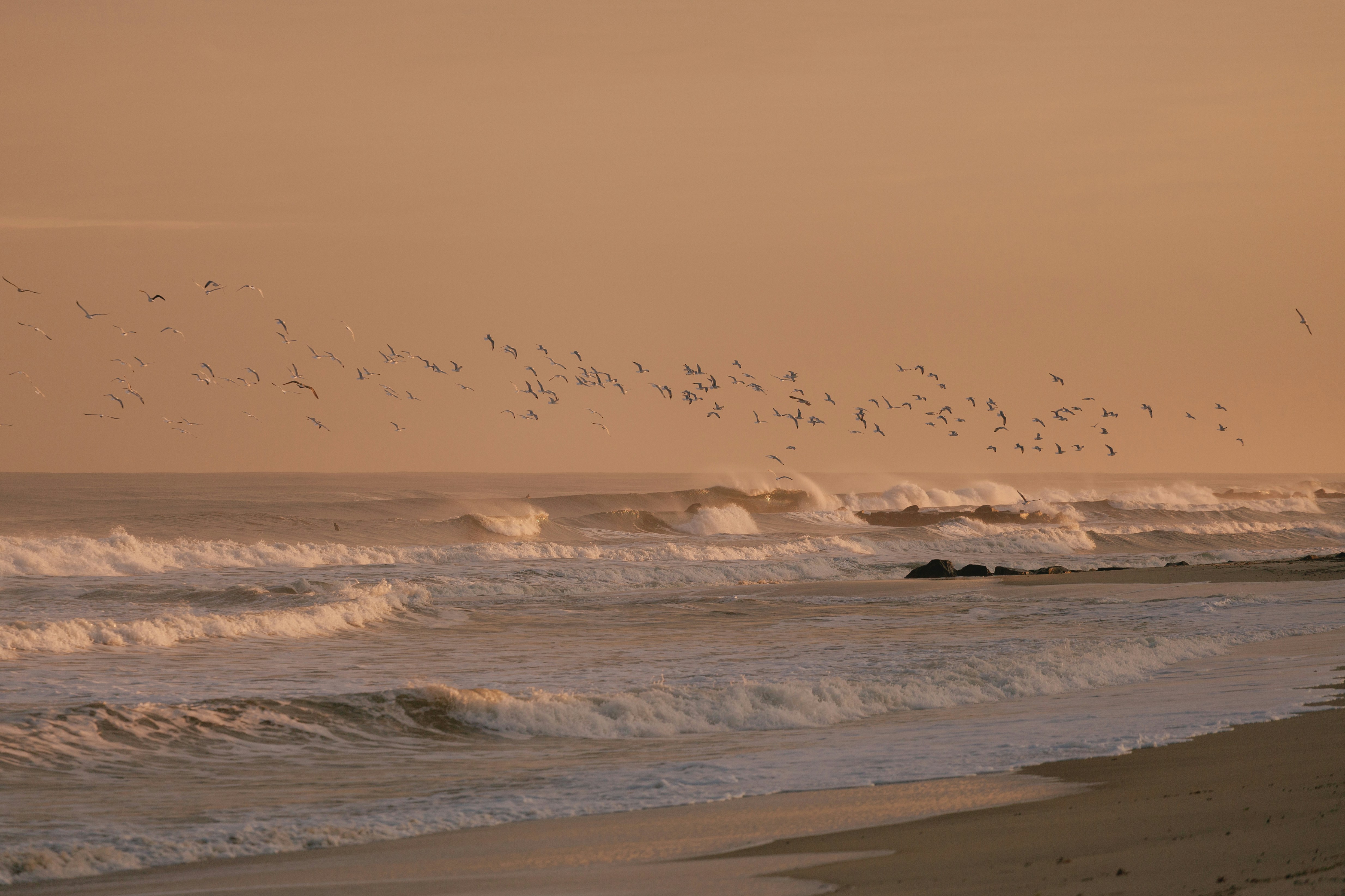 Innovation Portfolio Management for Organizations That Can't Afford Failure