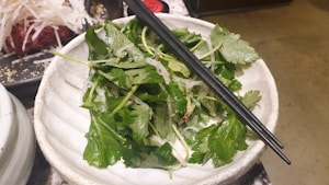 Organic Basil Bundle