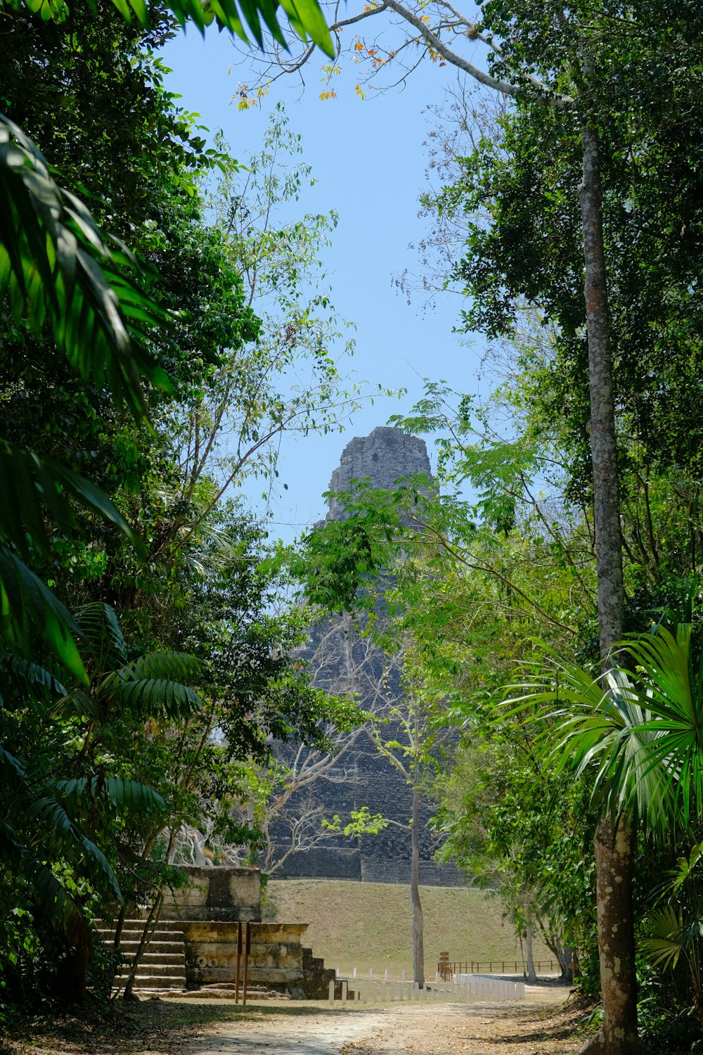 a dirt path leading to a tall tower in the distance