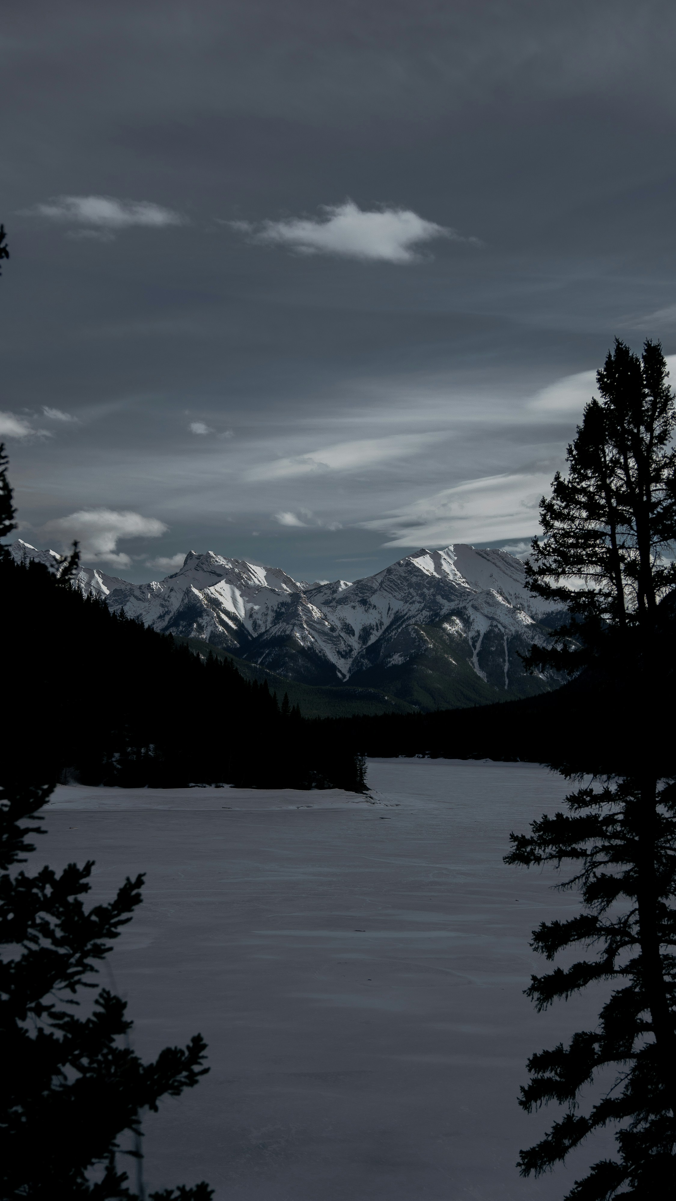 Photo by tfrankcreations