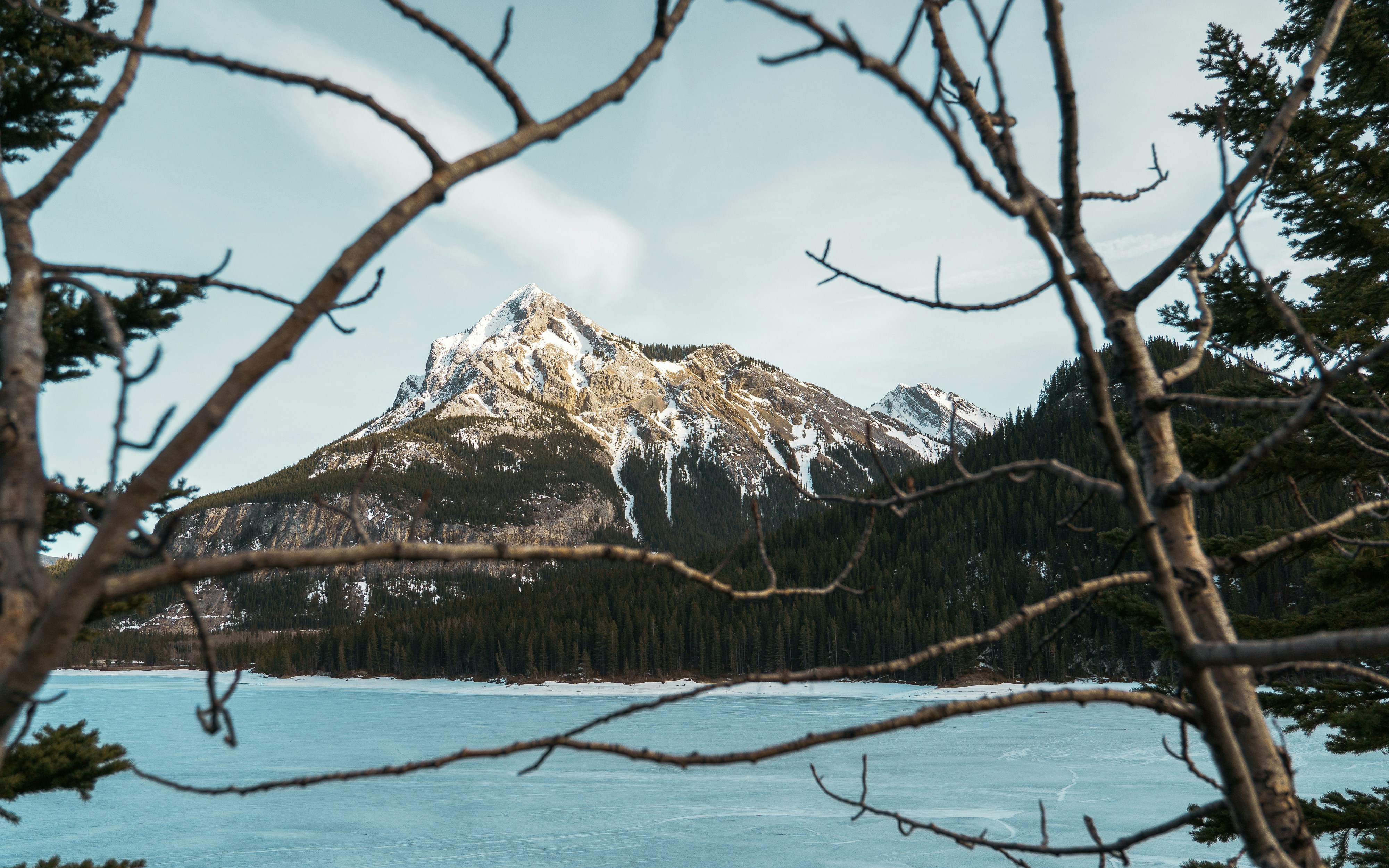 Photo by tfrankcreations