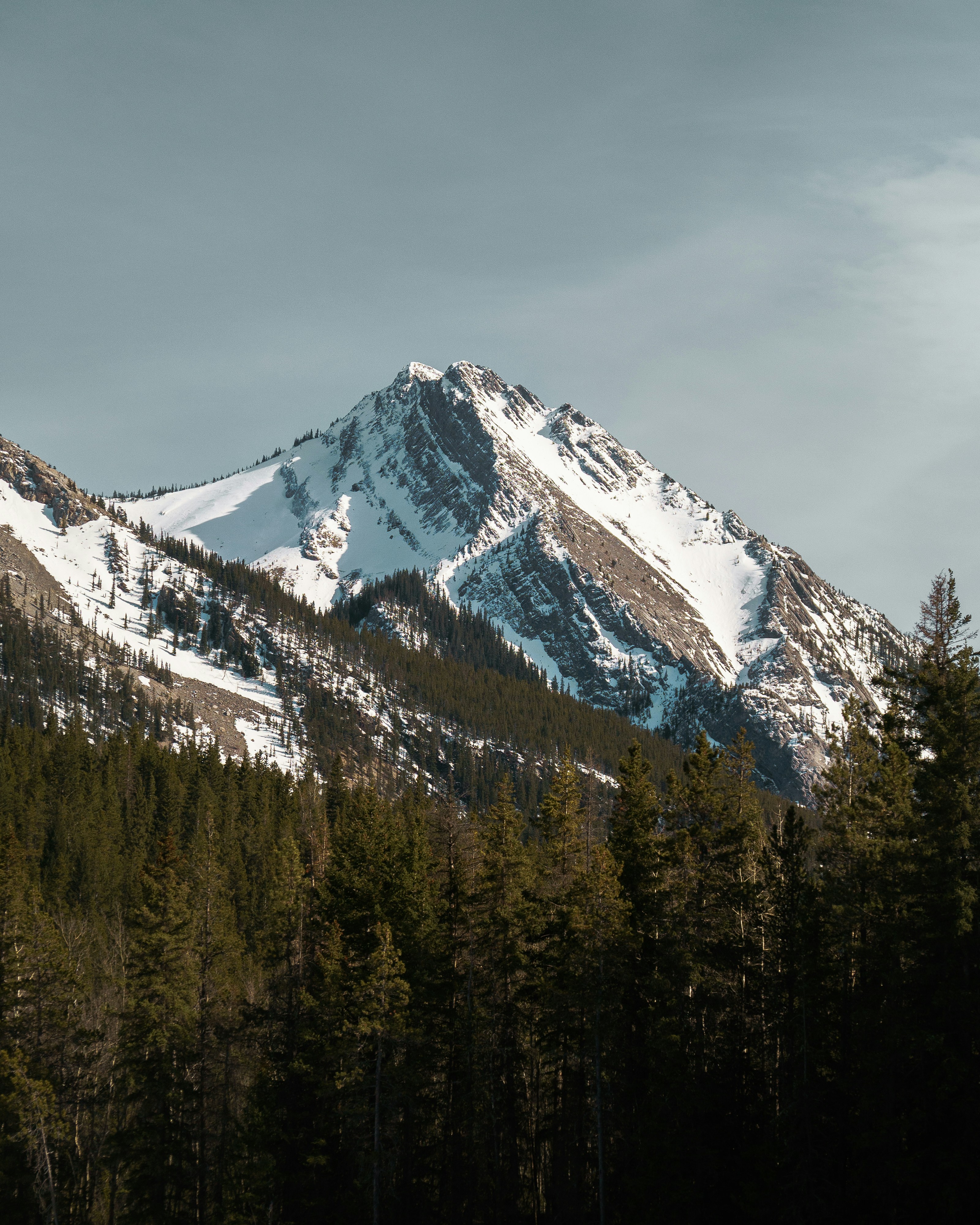 Photo by tfrankcreations