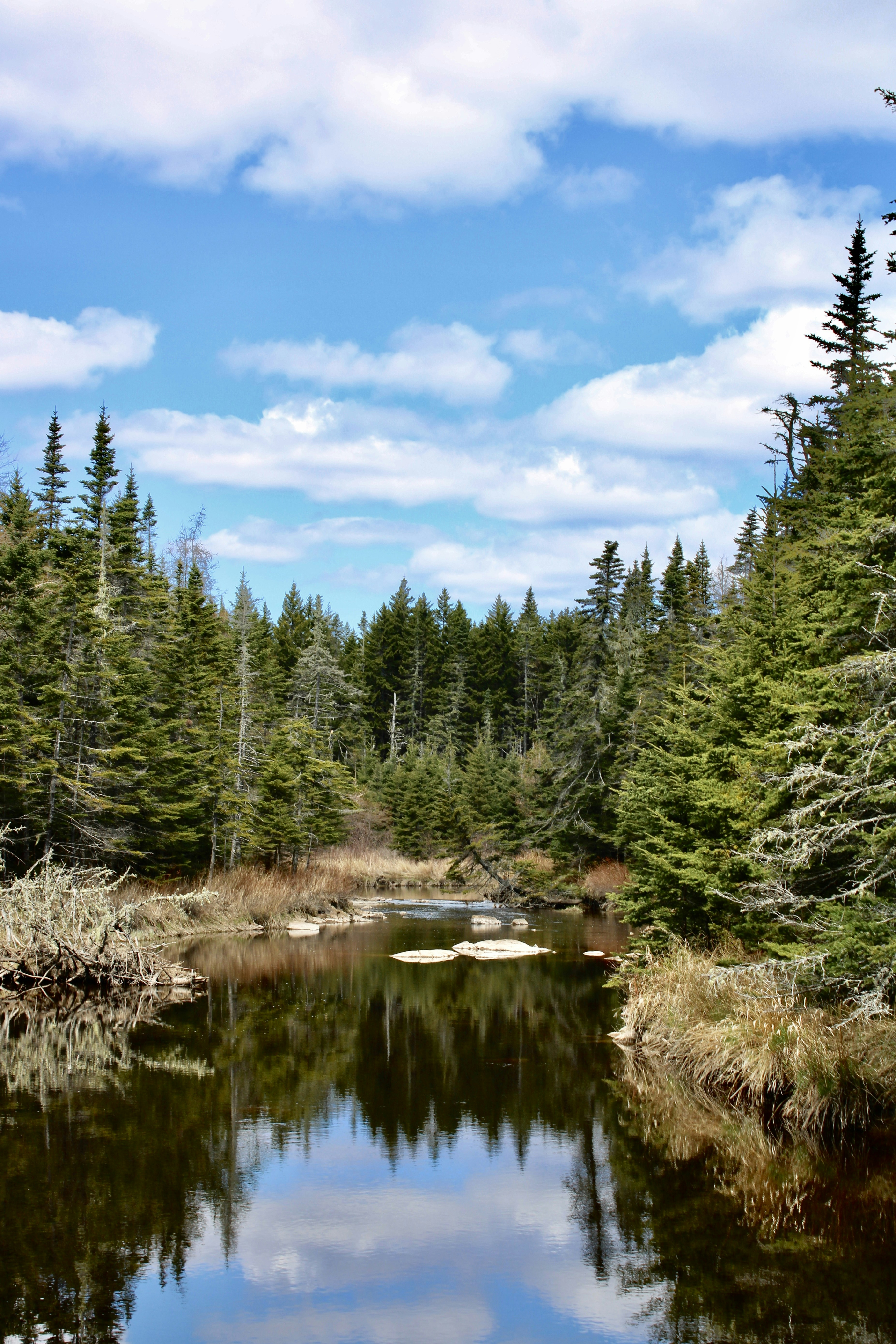 Photo by brooklynptgs