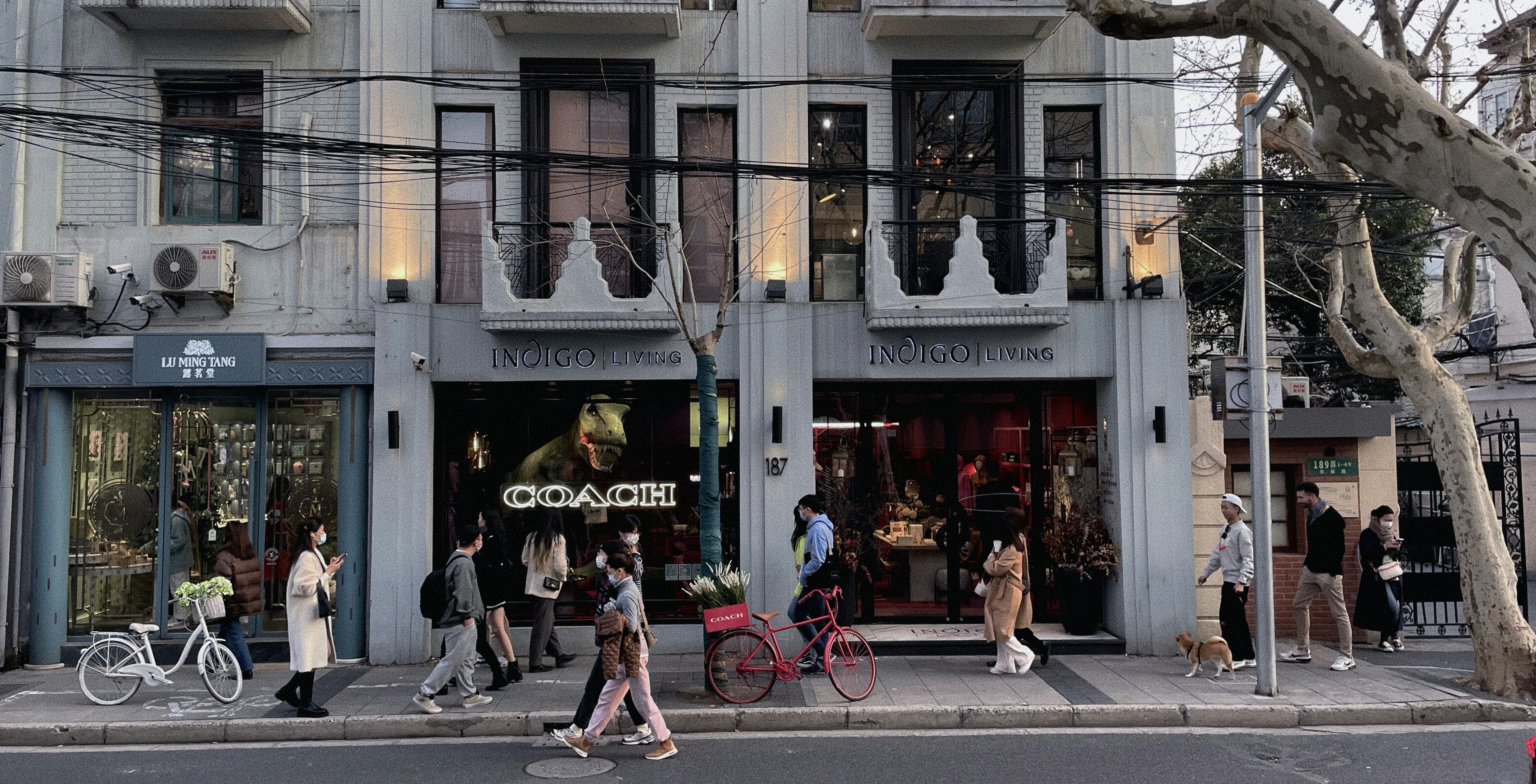 How Costco quietly built a multibillion-dollar clothing empire