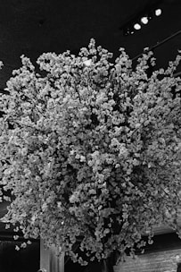 A large, elaborate arrangement of flowers with densely packed blossoms on branches. The setting appears to be indoors, possibly featuring ceiling lights above. The flowers create a voluminous and intricate display.