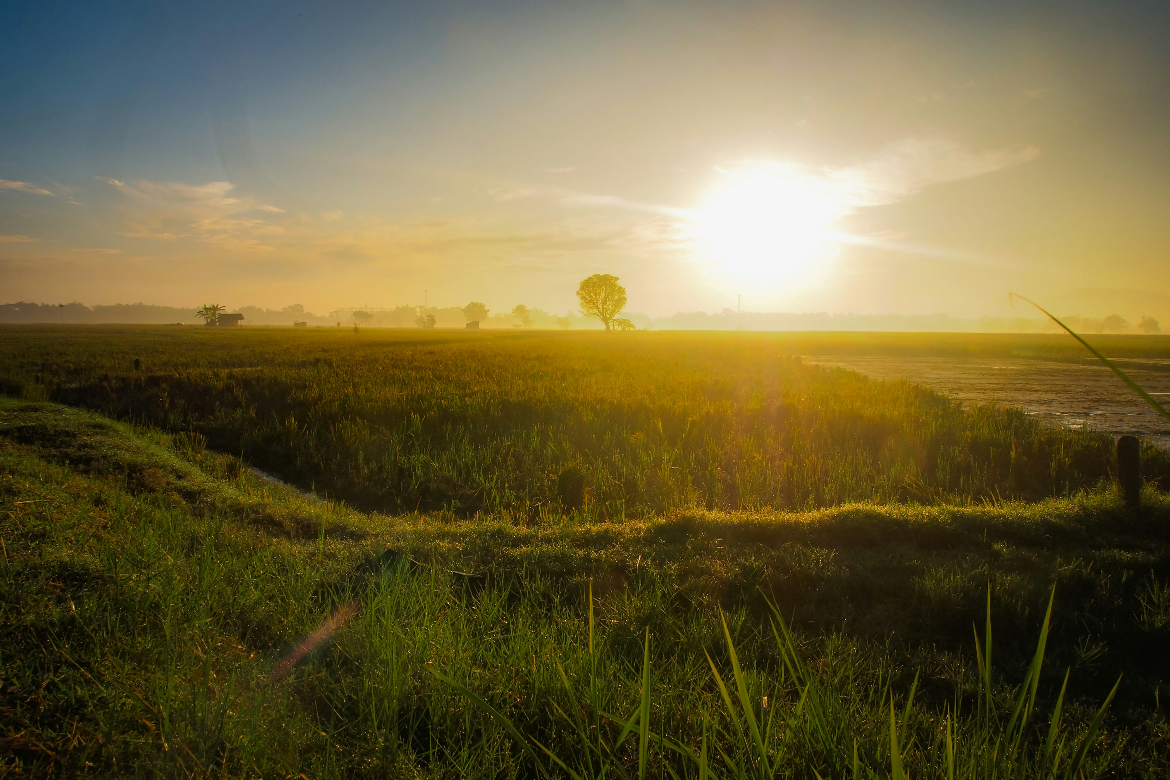 Photo by galihsputro