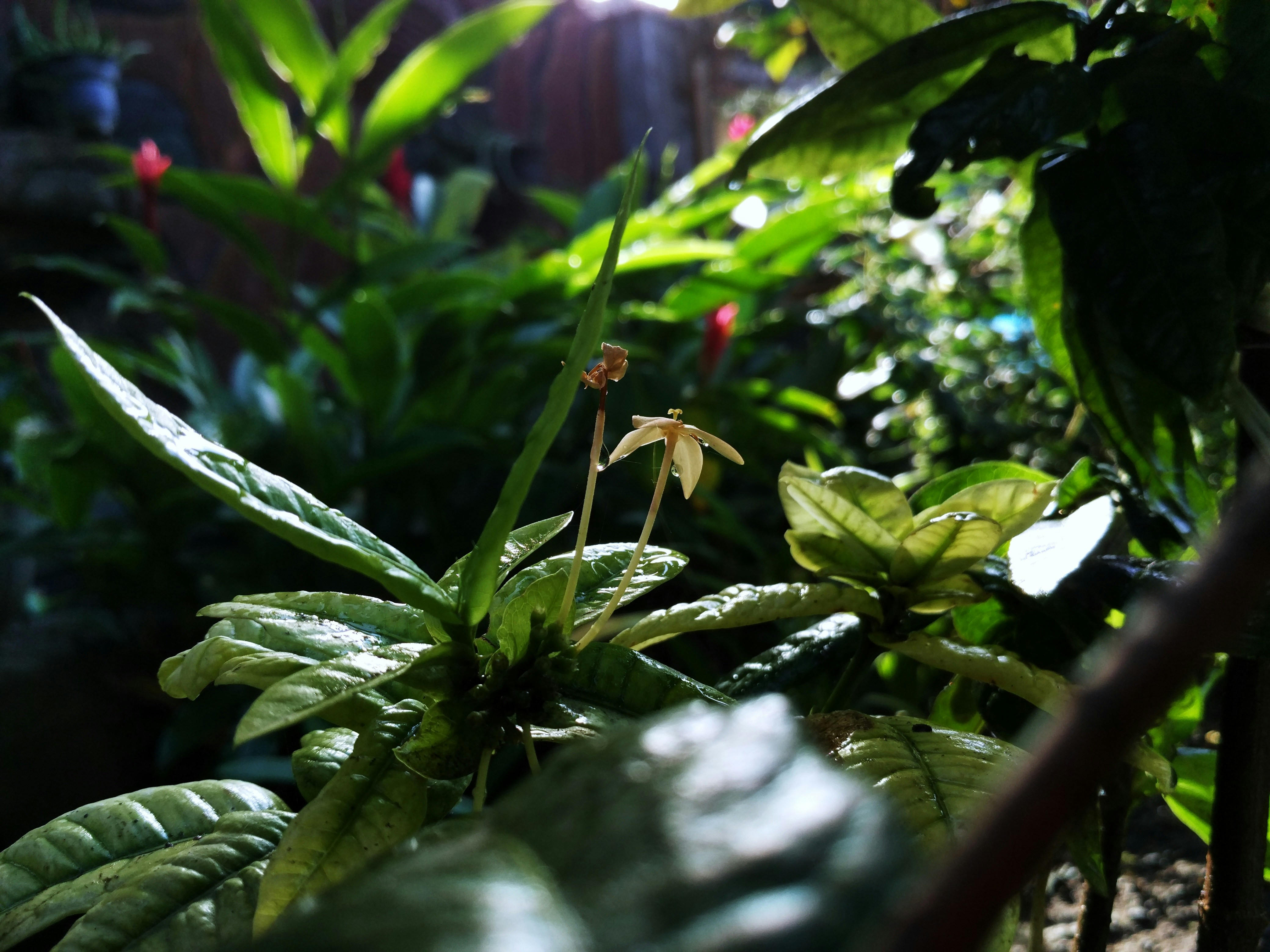 Photo by reniagustin