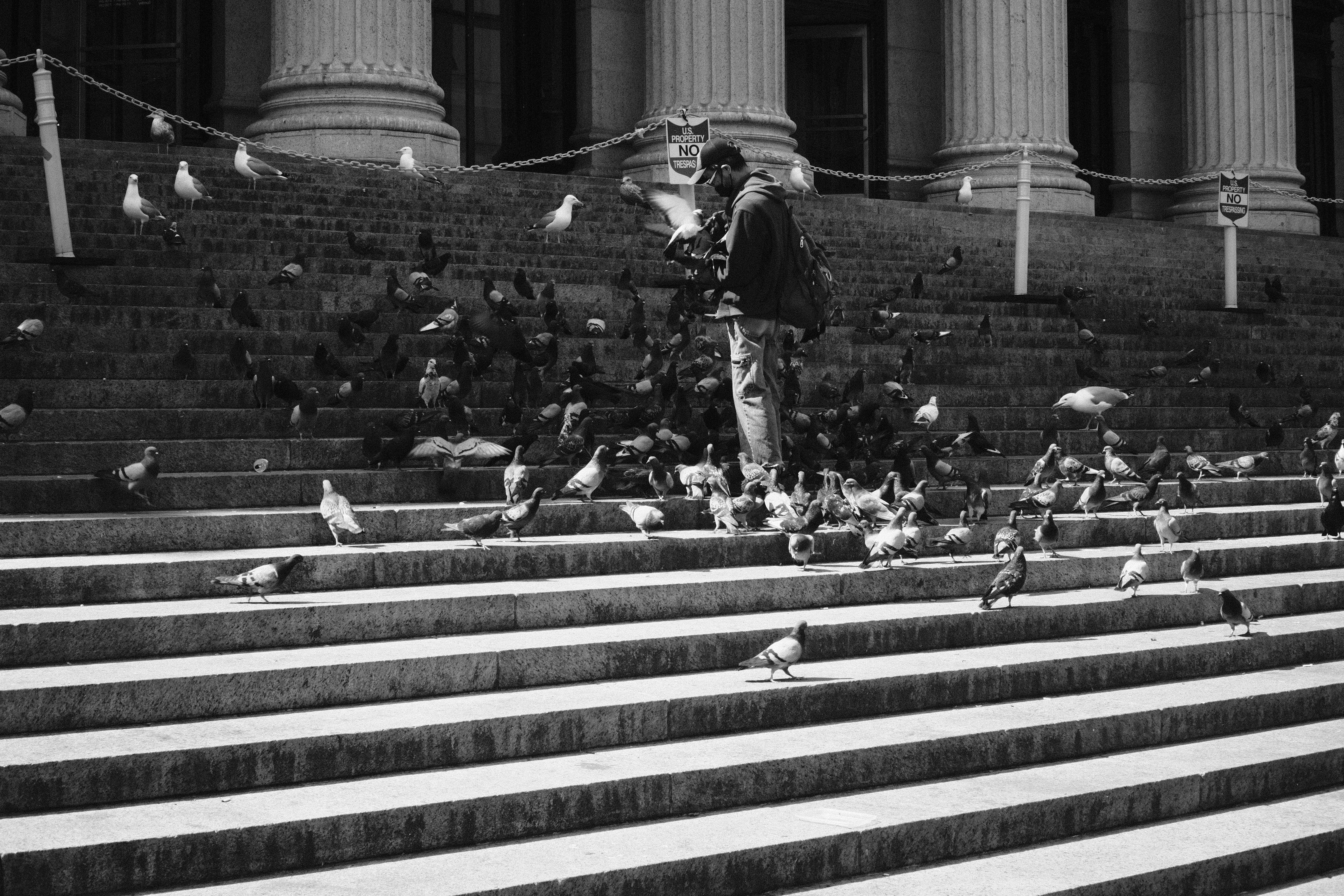 a black and white photo of a man surrounded by pigeons