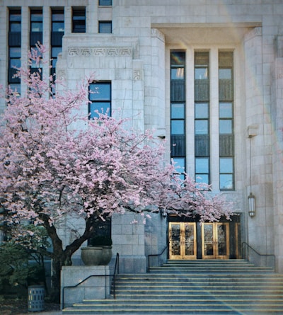 A warm, inviting photo of the Cherry Tree Enterprises Inc office entrance with a cherry tree visible nearby.