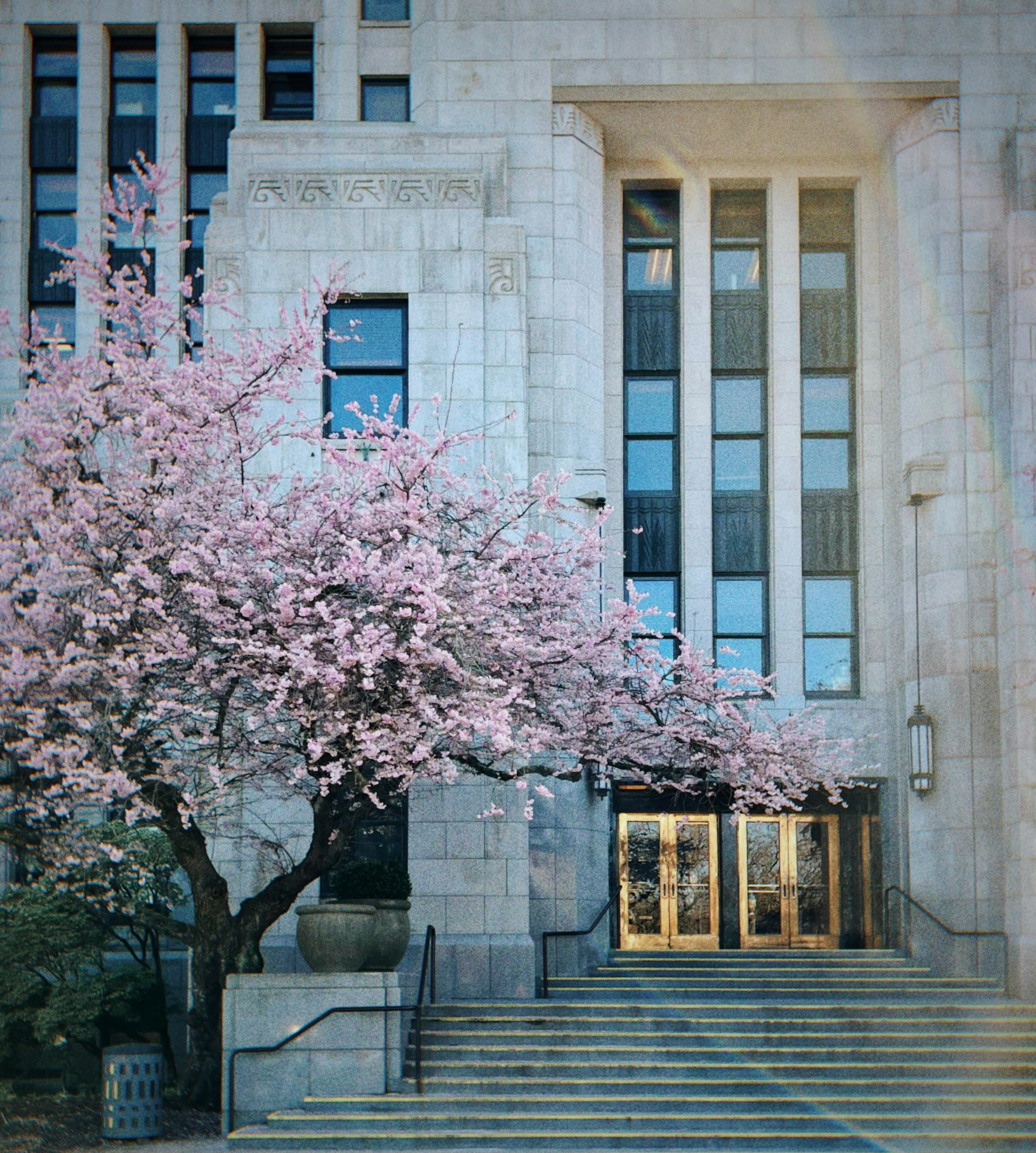 gray computer monitor