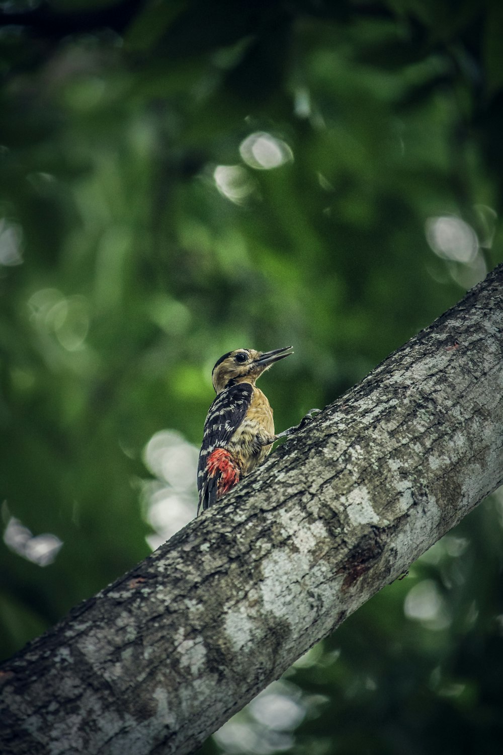 a small bird perched on a tree branch