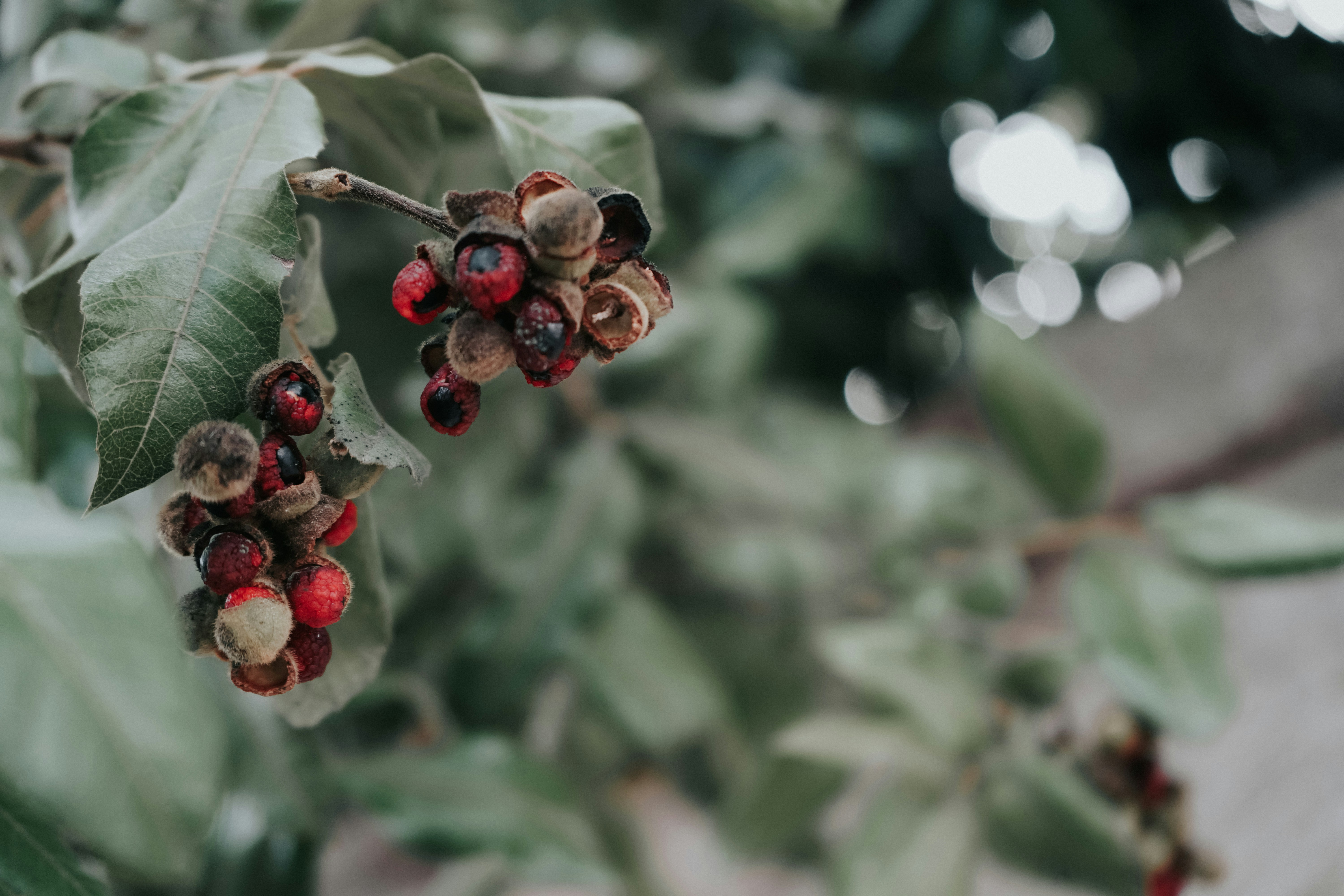 Photo by anyachernykh