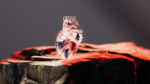 A crystal-clear glass heart model rests on a rugged rock surface, which is illuminated by a warm red light from one side. The background is out of focus, providing a stark contrast between the delicate transparency of the heart and the rough texture of the rock.